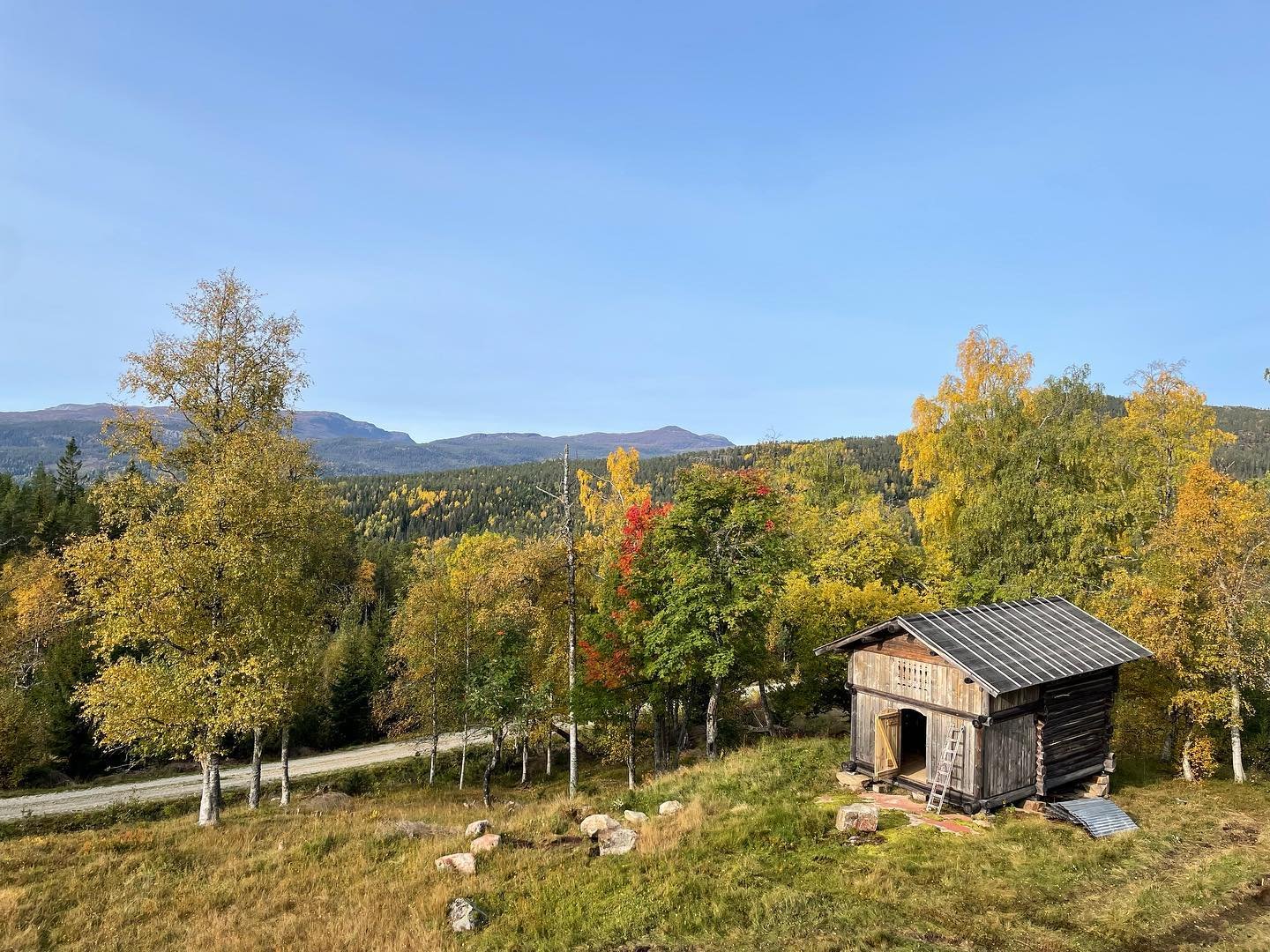 Utsikten Gvitåsen setra Fossan gård.jpg