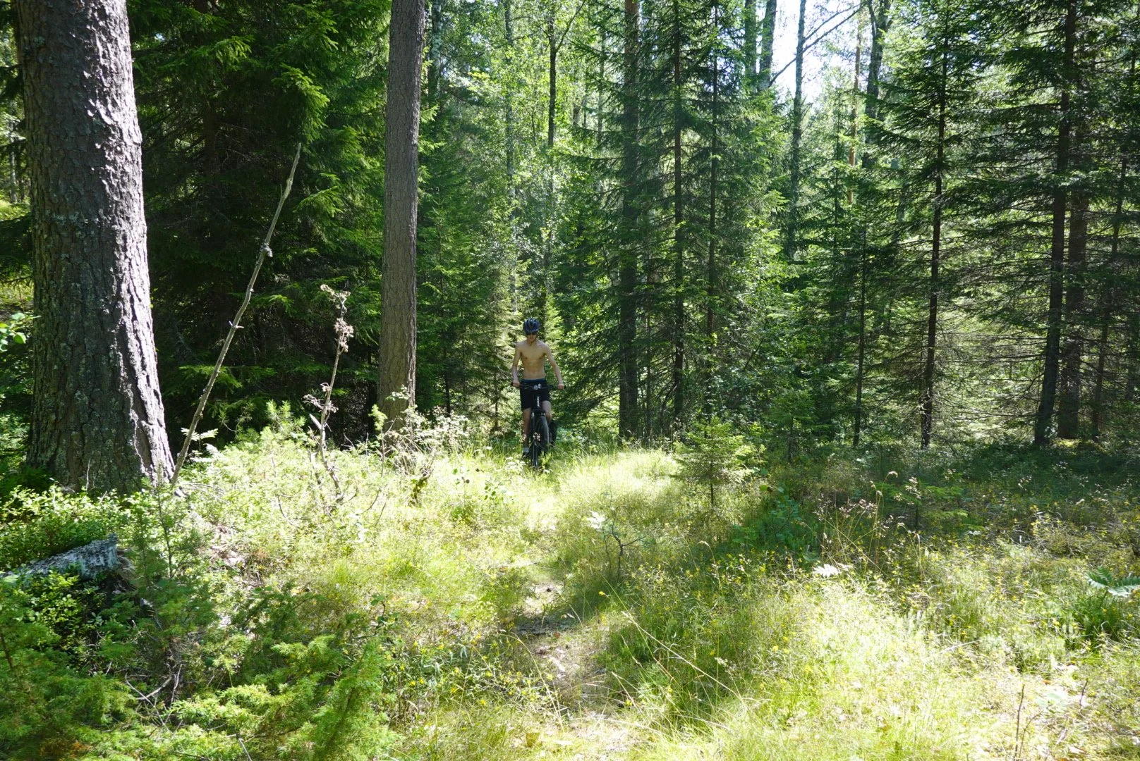 sti etter flomskade.JPG