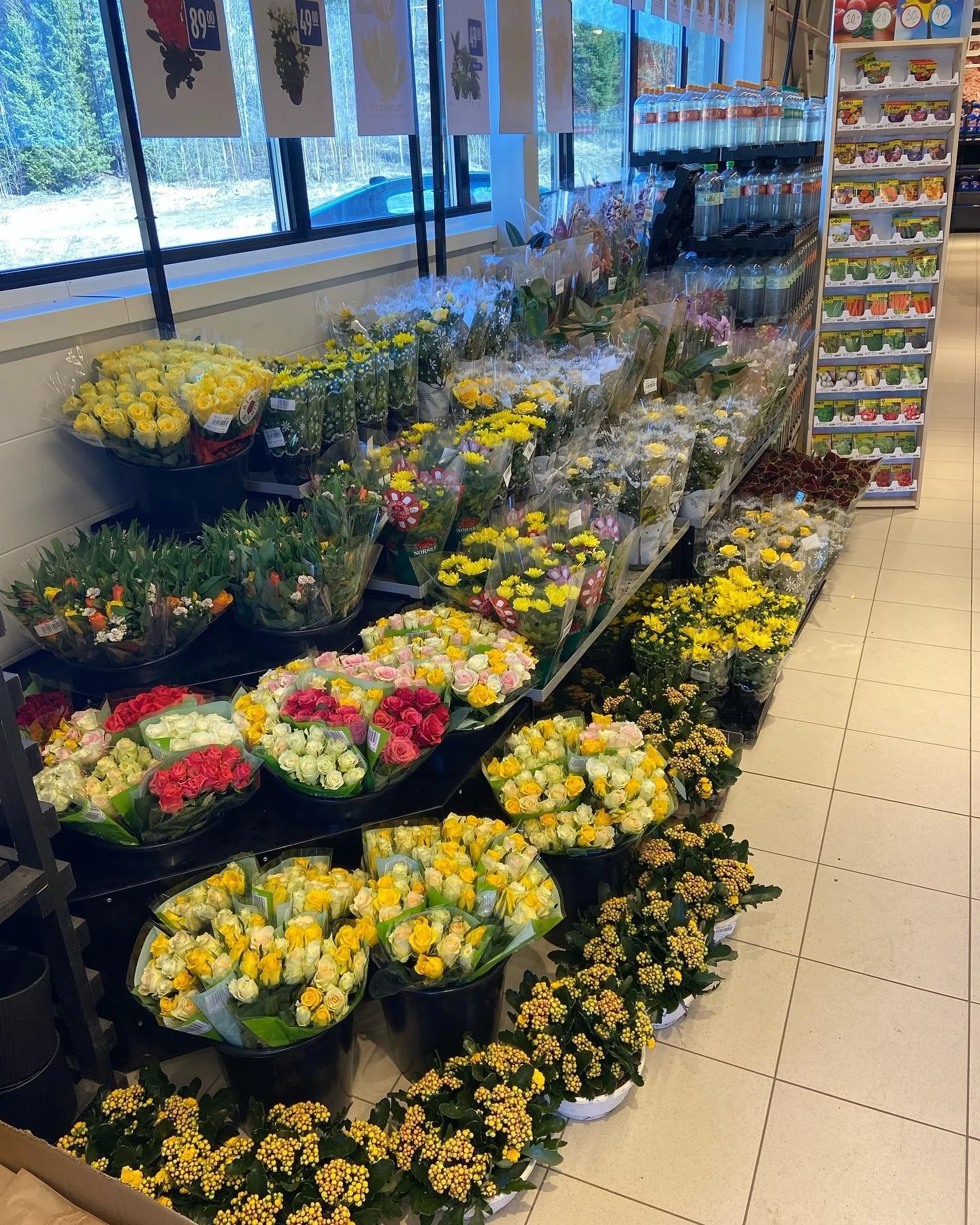 Rema1000 blomster inne.jpg