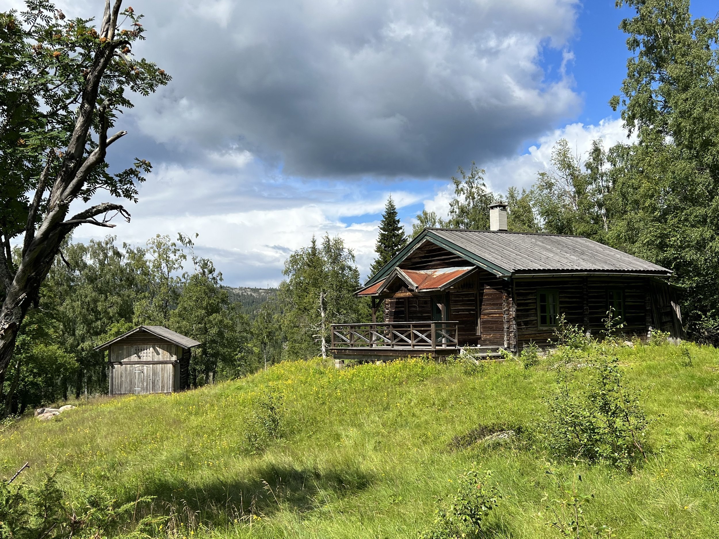 Besøk Fossan gård og seter-10.jpg
