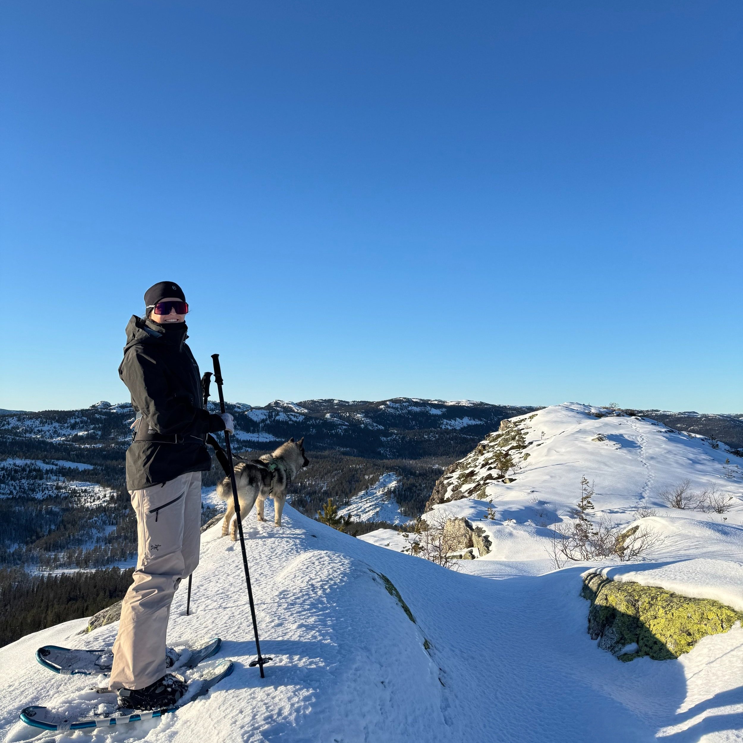 Tekslehogget truger vinter flesberg_IMG_2336.jpg