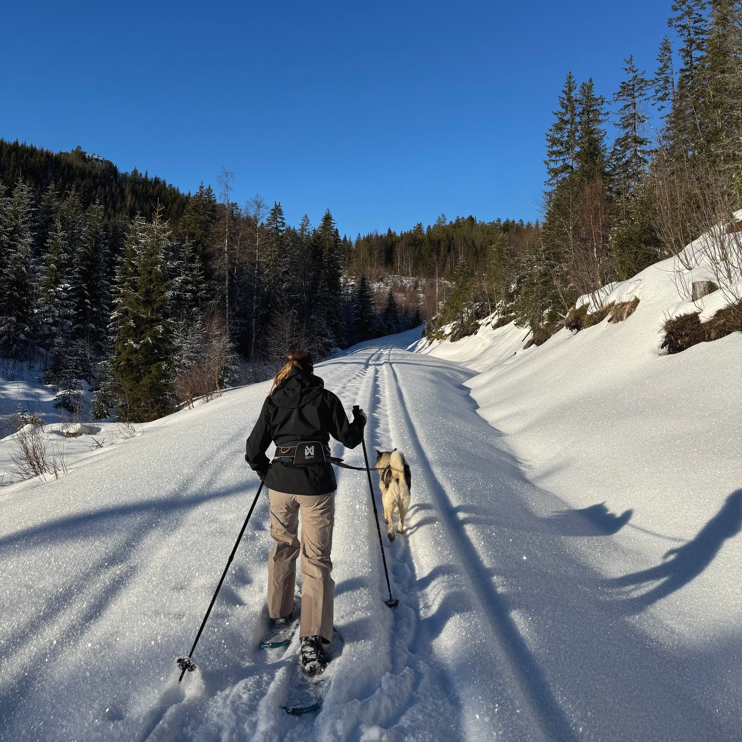 Tekslehogget truger vinter flesberg1.jpg