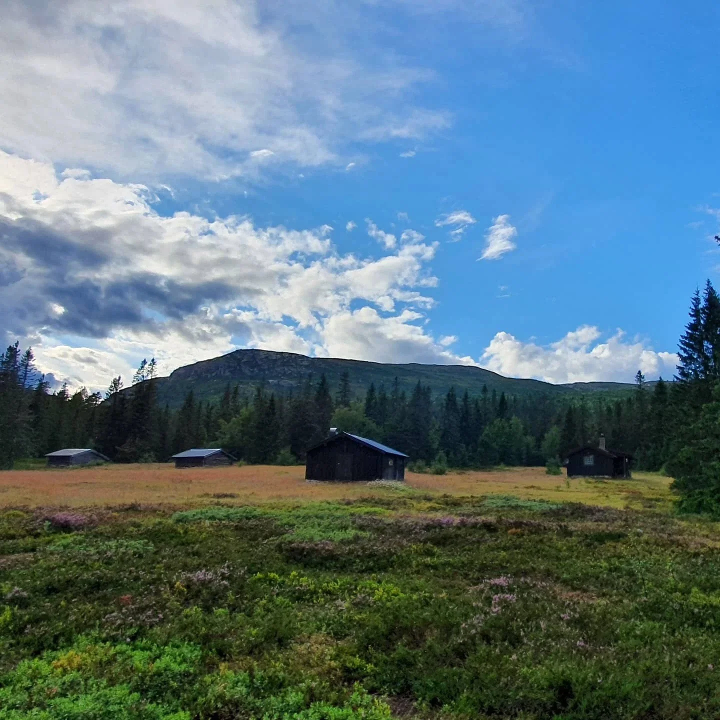 Seter på Nordstul.jpg