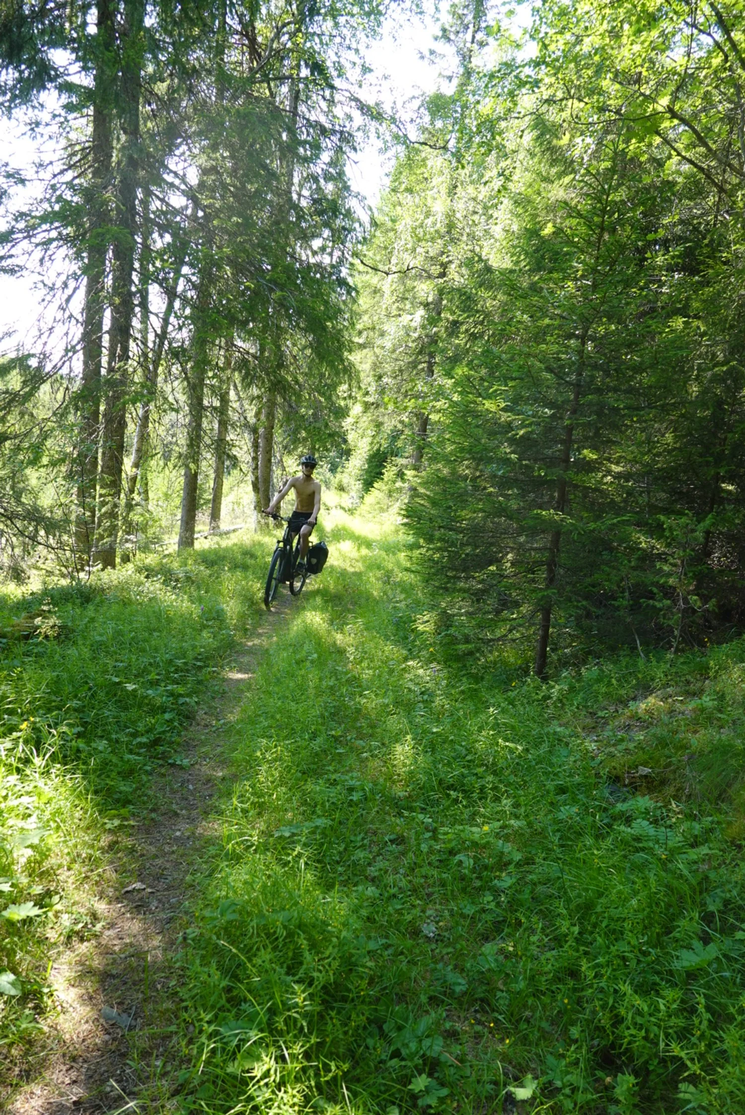 Sti til søstrene storaas.JPG