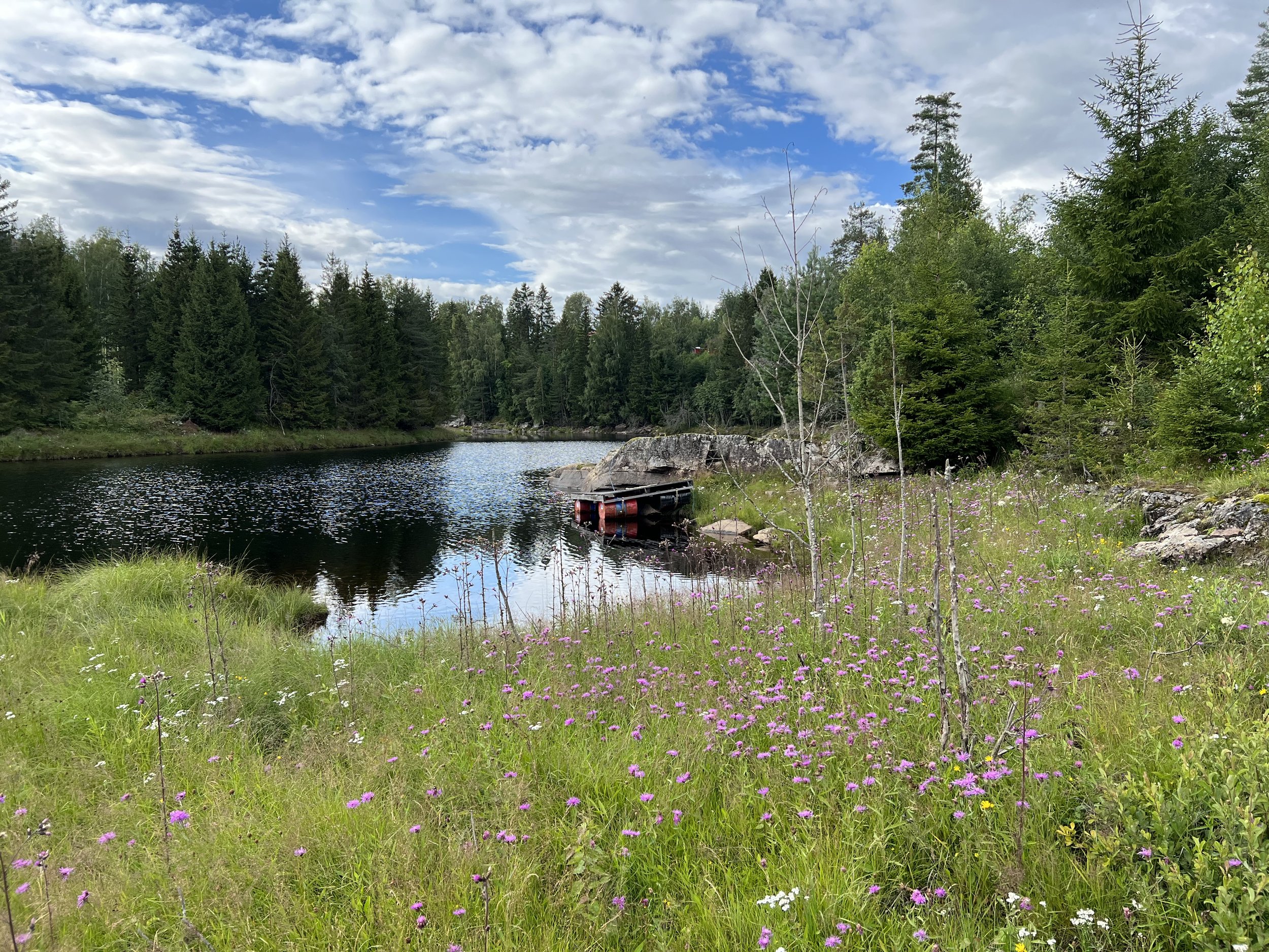 Besøk Fossan gård og seter-05.jpg