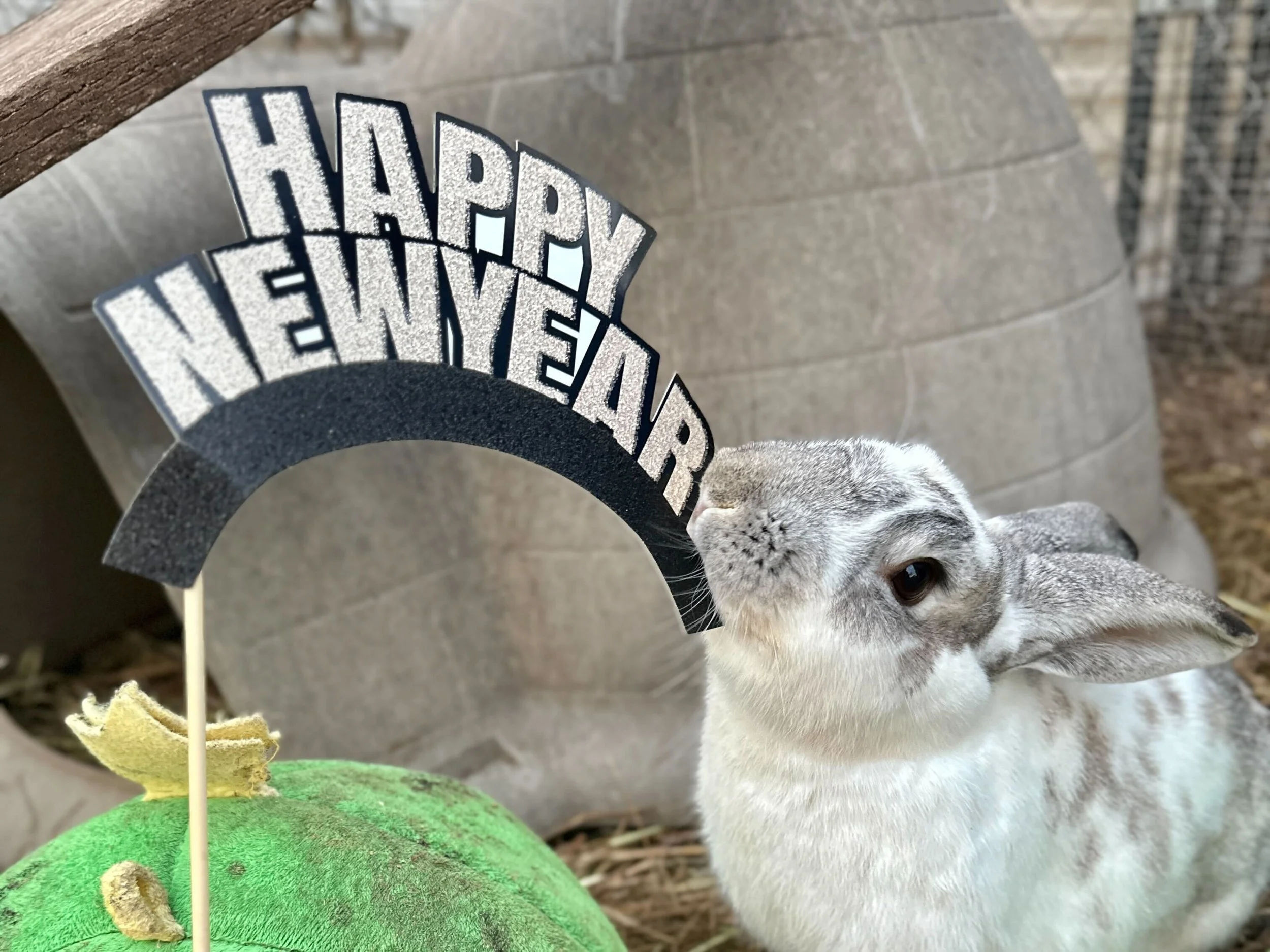 2026 New Year’s Day