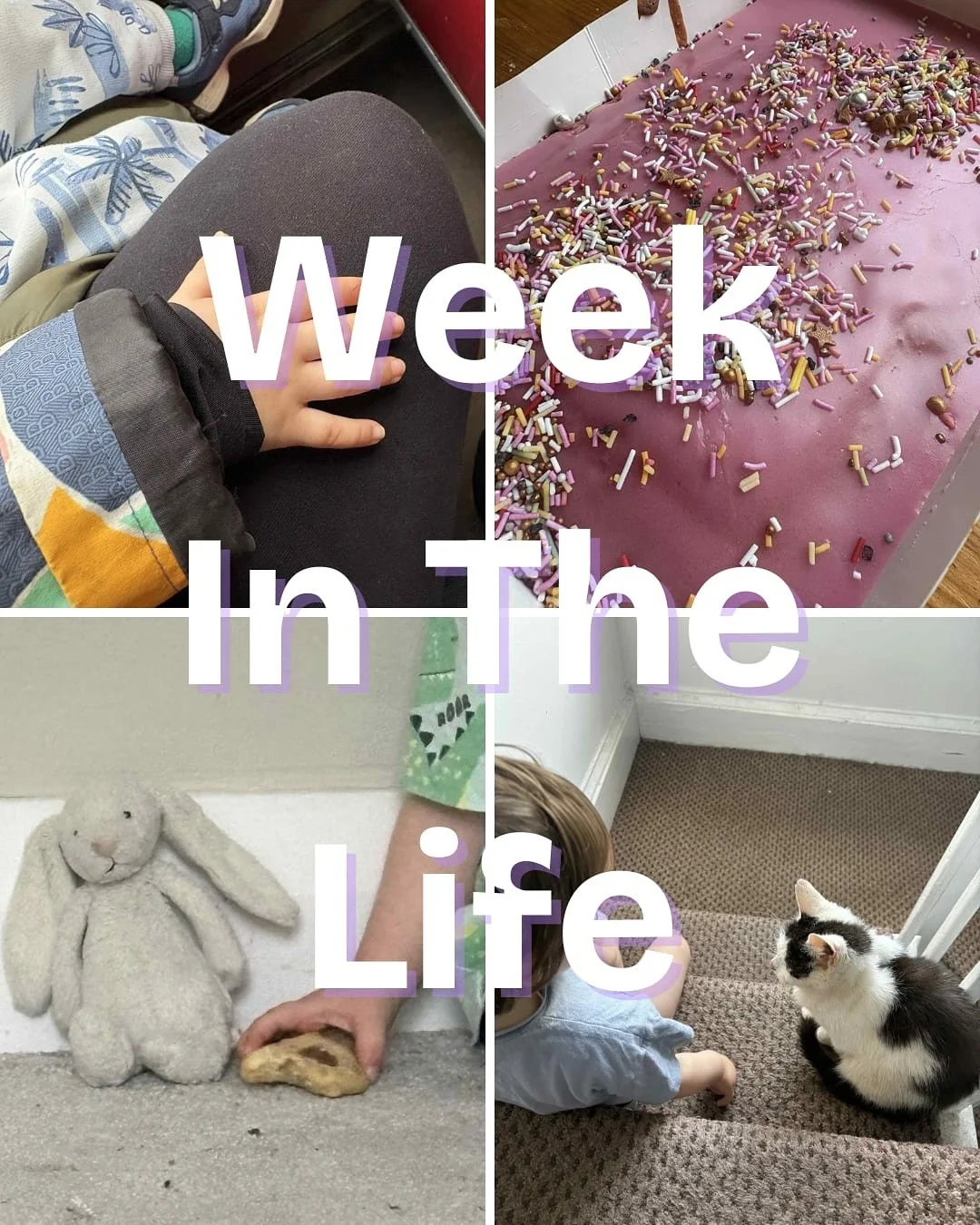 With Coffee With Cerys changing, I wasn&rsquo;t sure whether to still do these or not. But I love a good weekly photo dump and hopefully I can start using to share some of the changes and bring you along for the journey✨

1. Cookies with our pal afte