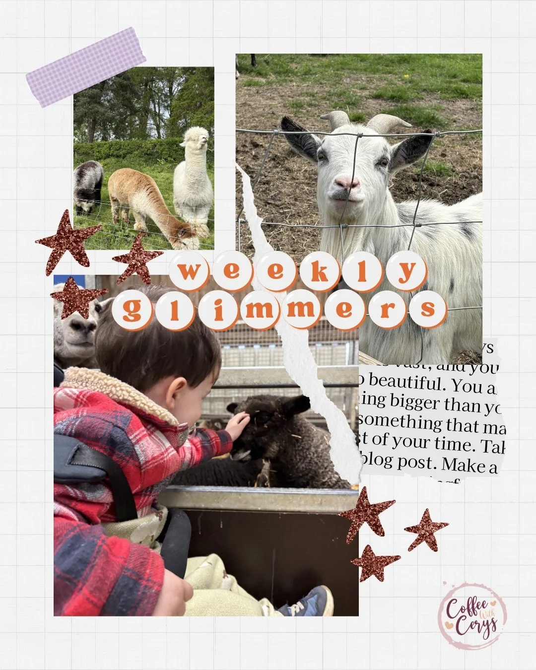 Spent most of my days with my head in my laptop rebuilding @the.lilac.creative 💜

So here&rsquo;s more photos of the cutest day at the farm🐑

#MumLifeUK #FamilyAdventuresUK