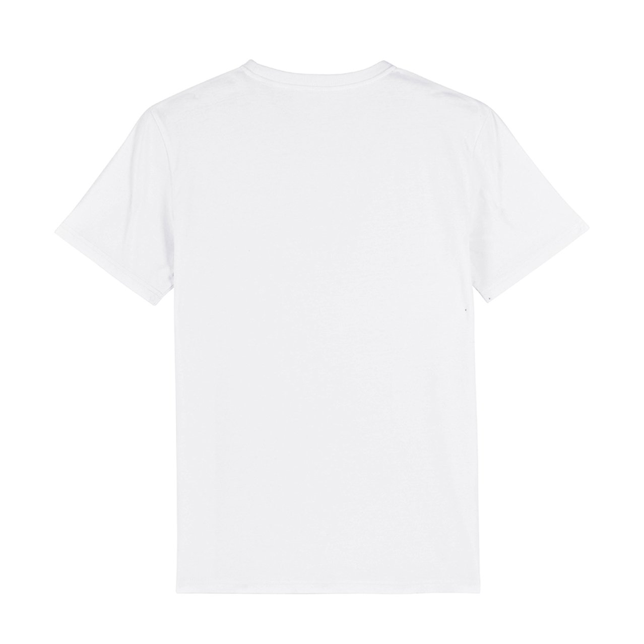 CT-2022-MERCH CAMISETA PUCHOX3 (BACK).jpg