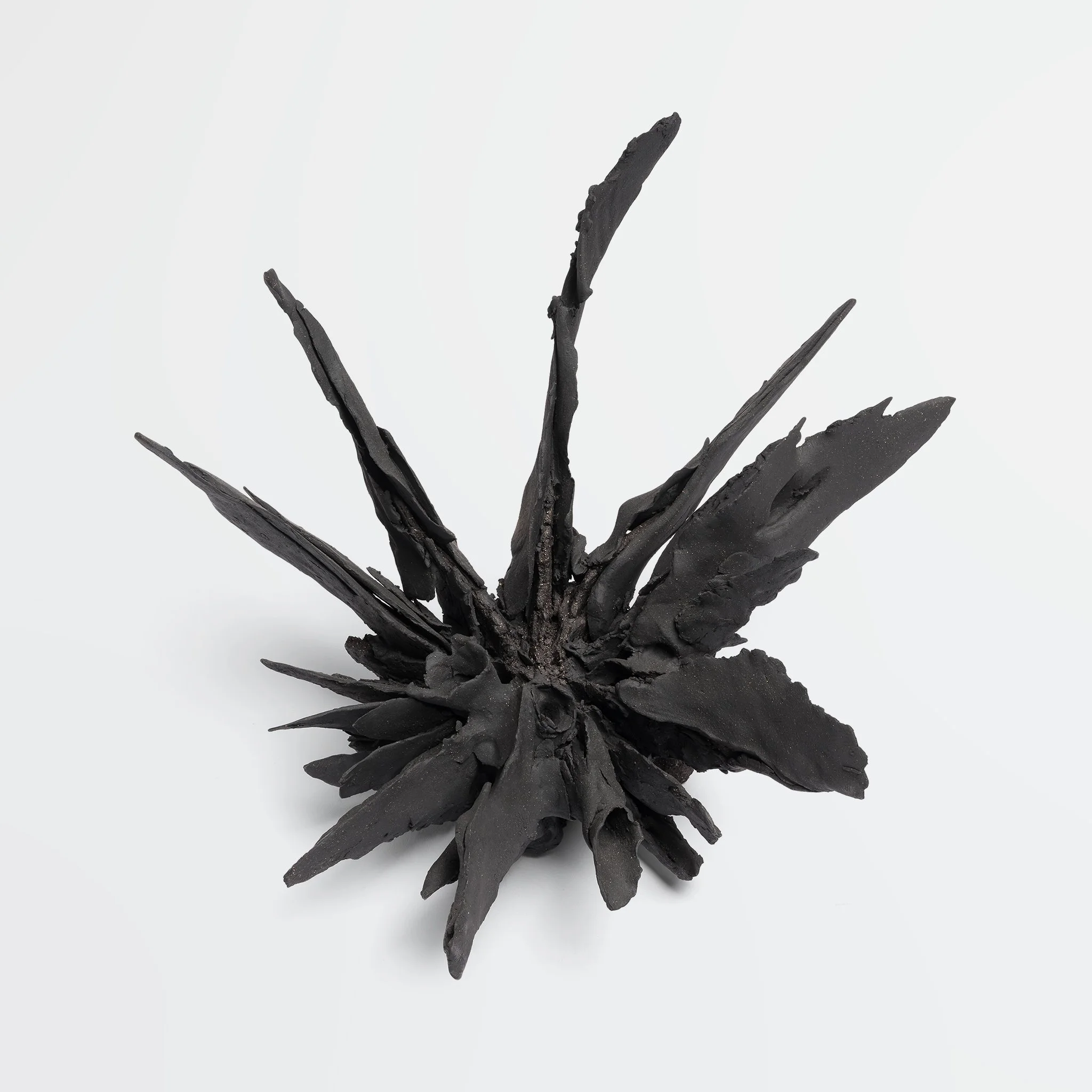 Jennie Wilde, Lifeforce, 10" x 12" x 2", ceramic stoneware, 2026