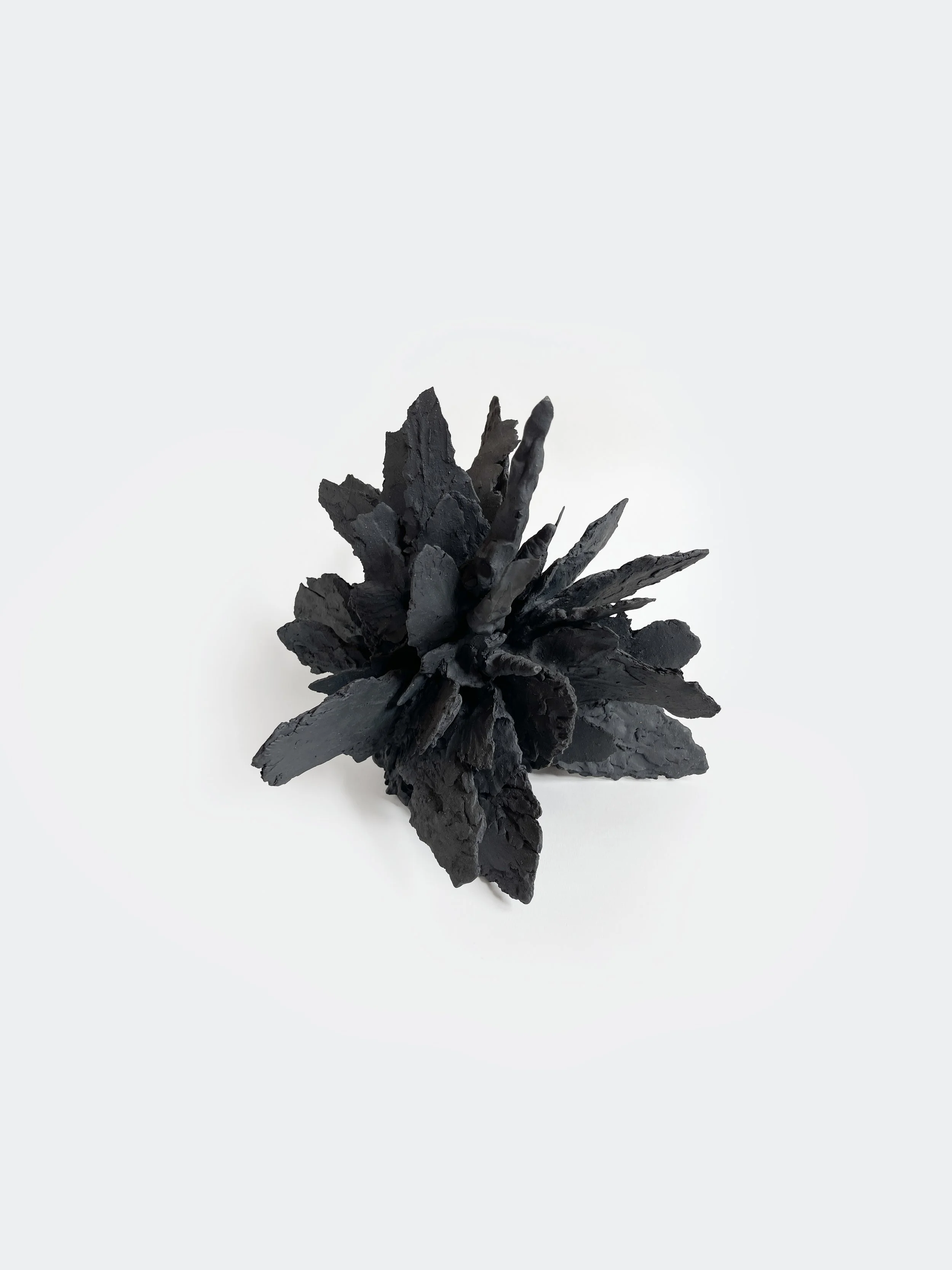 Jennie Wilde, Shale Burst, 14" x 13" x 12", ceramic stoneware, 2026