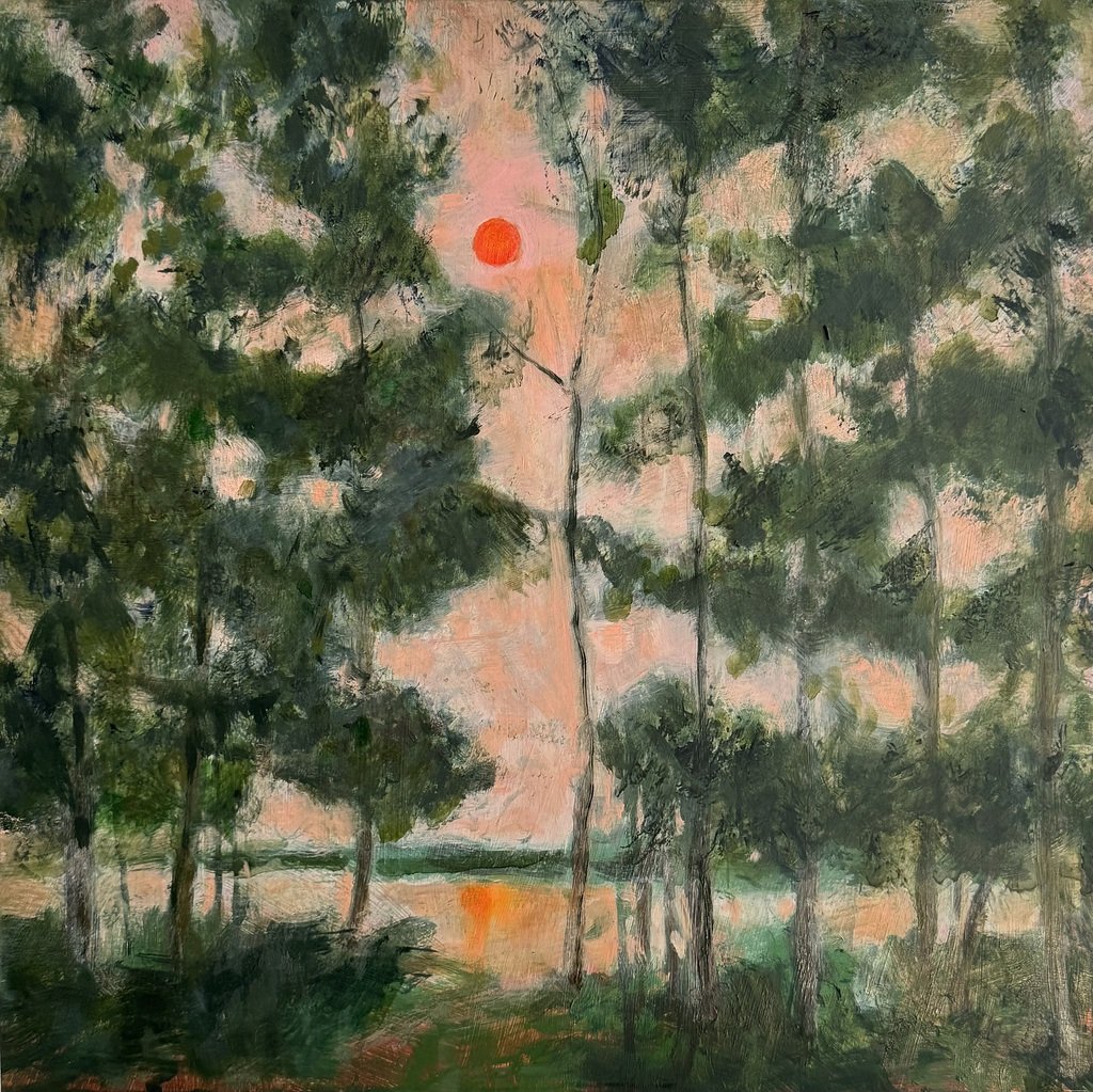 Domenica Brockman, Sun In The Pines, 12" x 12", oil on panel, 2024 / SOLD