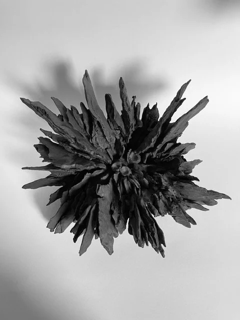 Jennie Wilde, Shale Botanic, 14" x 13" x 9", unglazed stoneware, 2026