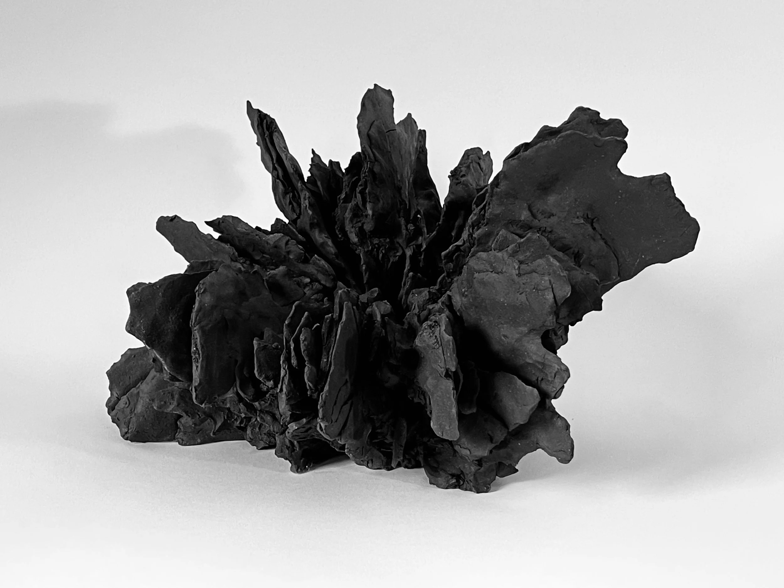 Jennie Wilde, Shale Botanic (side), 14" x 13" x 9", ceramic stoneware, 2026