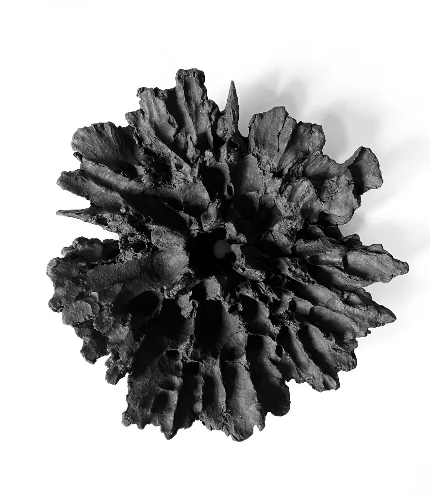 Jennie Wilde, Center of the Sea, 16" x 16" x 4", ceramic stoneware, 2026
