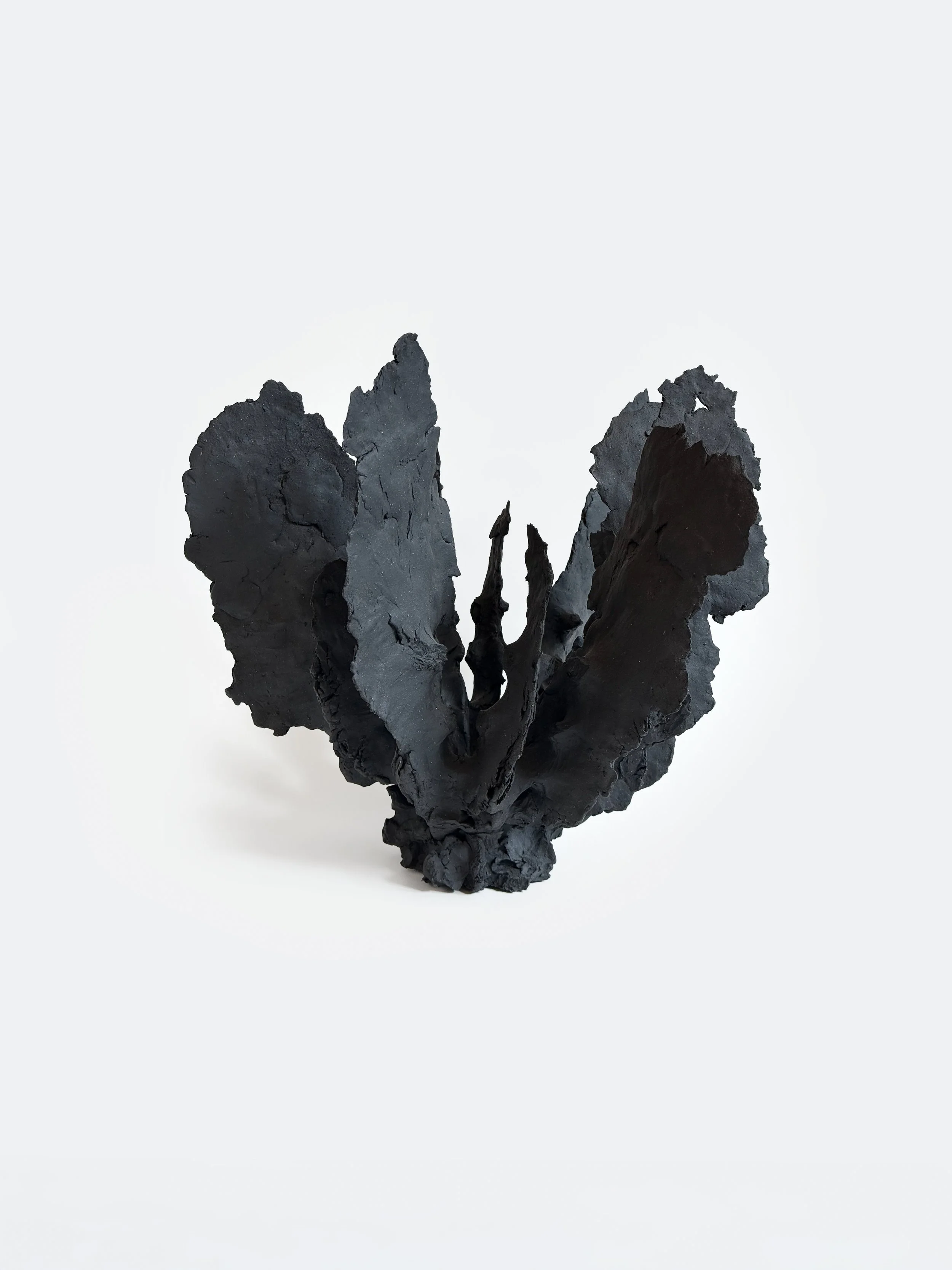 Jennie Wilde, Rooted Shale, 14" x 15" x 16", ceramic stoneware, 2026