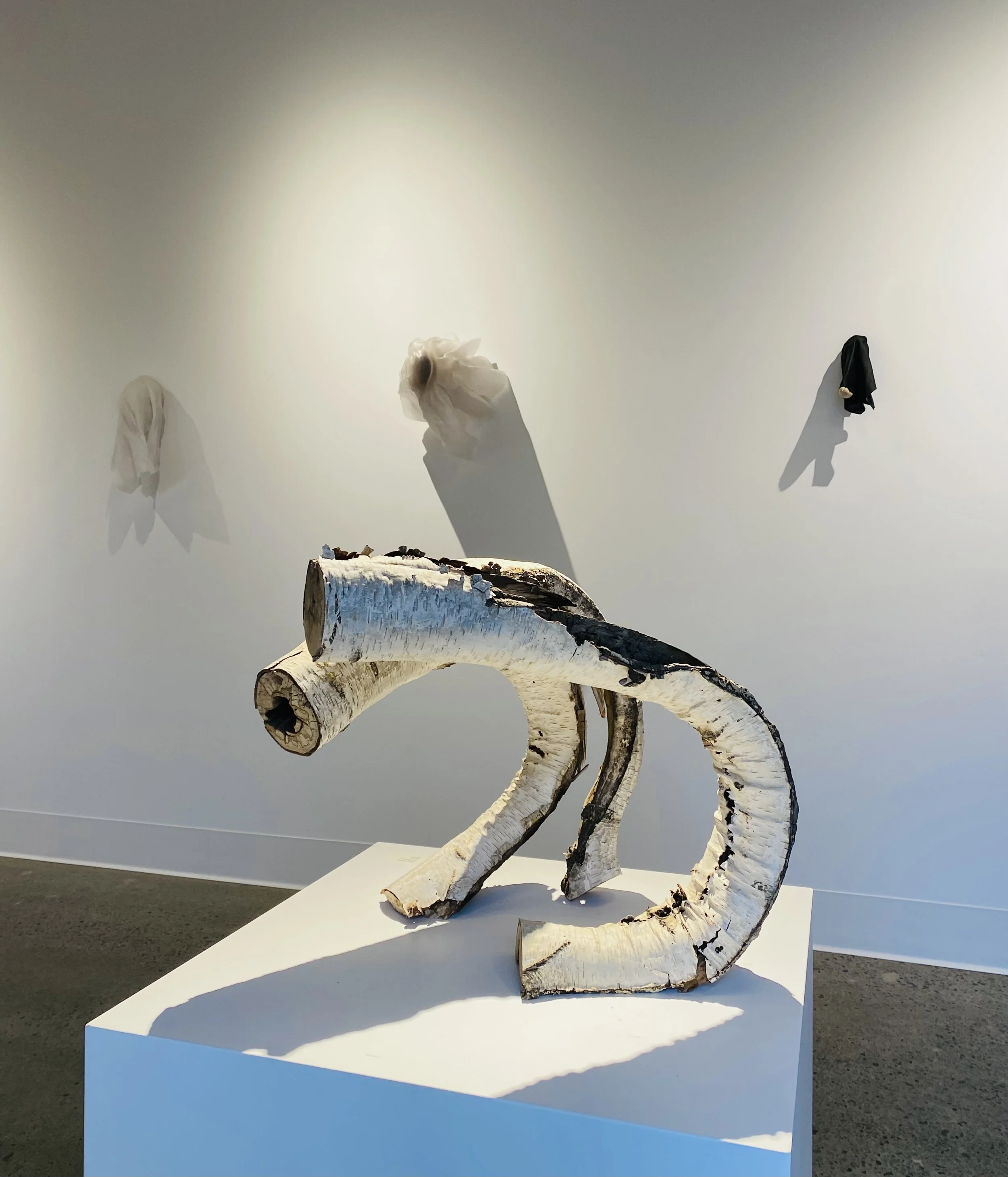 Jack Elliott, Confluxus, 18" x 19" x 20", birch