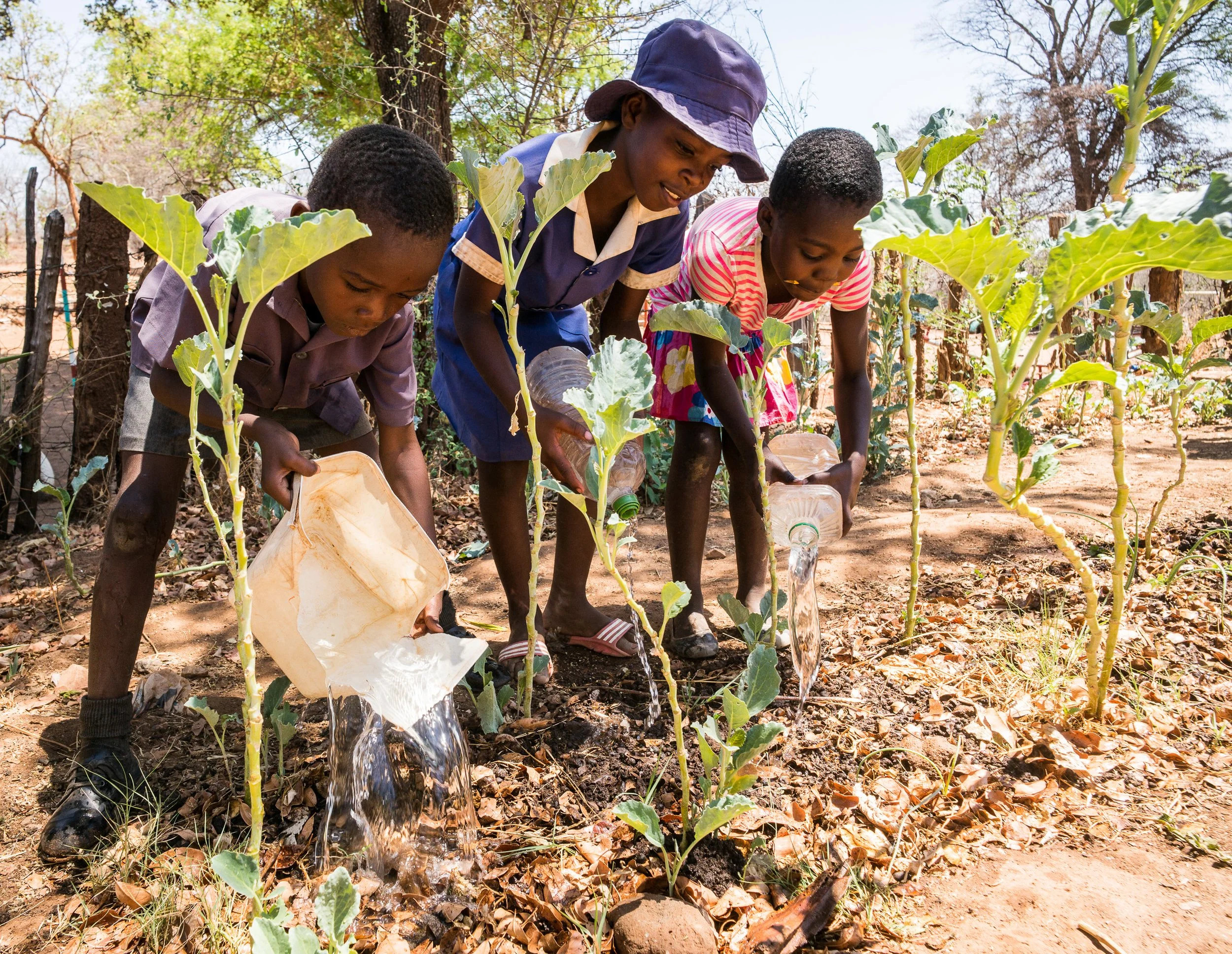 Tre barn vanner planter utendørs i Zimbabwe