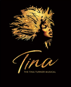 TINA TURNER.png