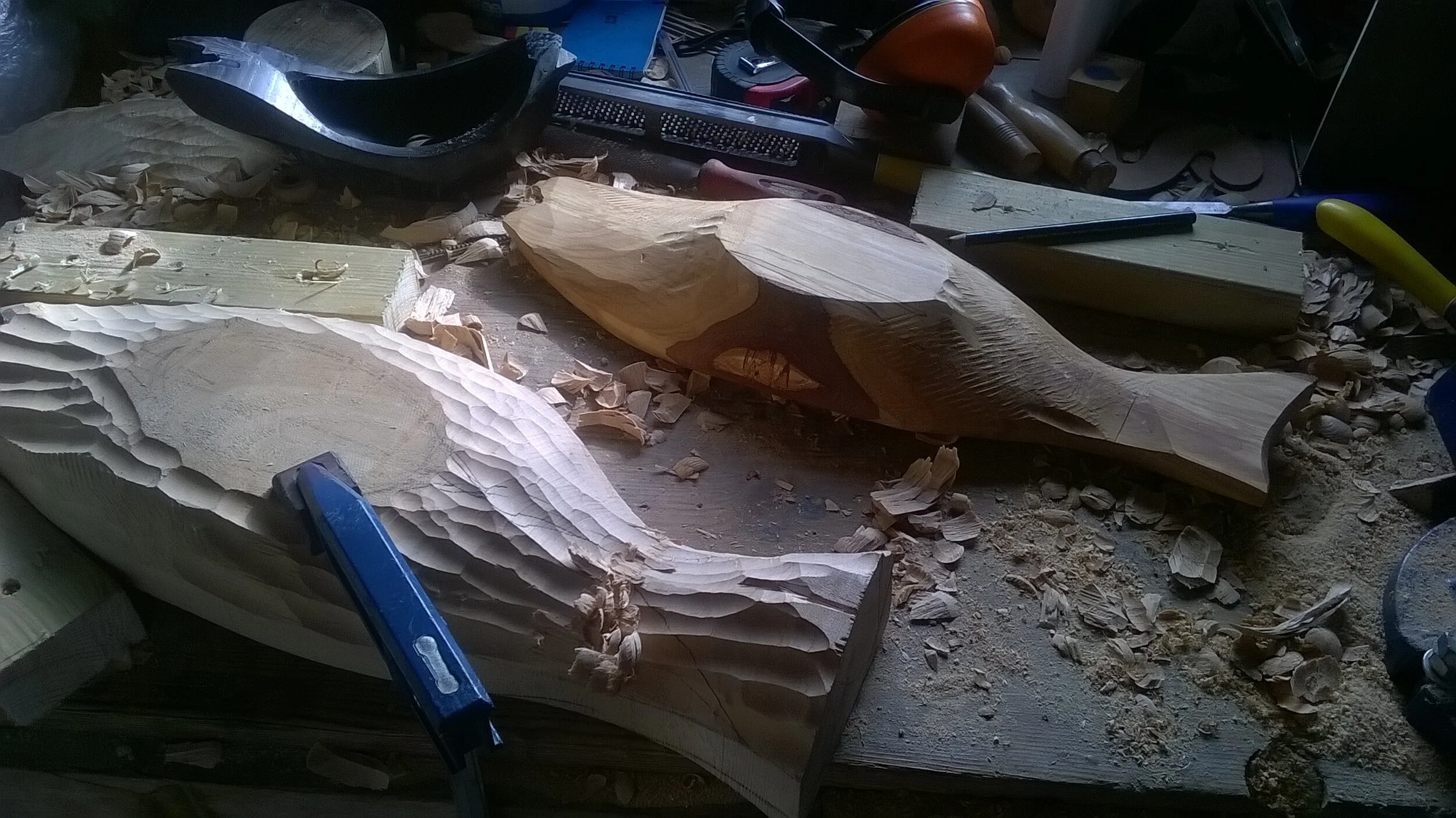 work in progress (2).jpg