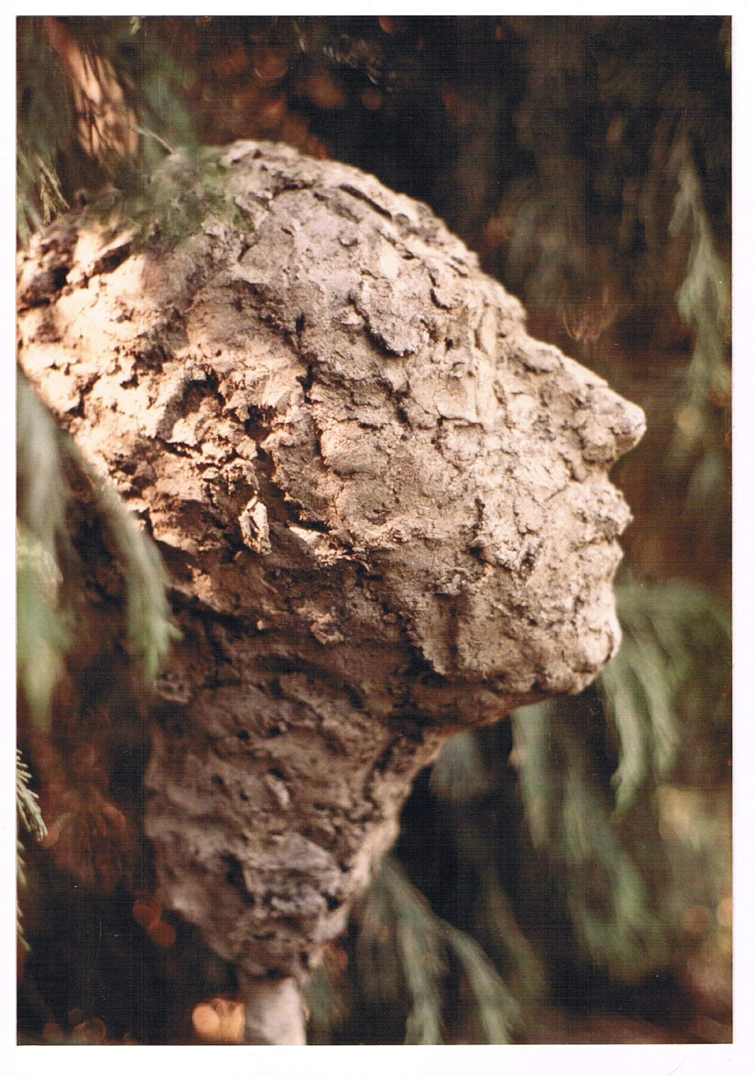 s modelled mud head sculpture 1.jpg