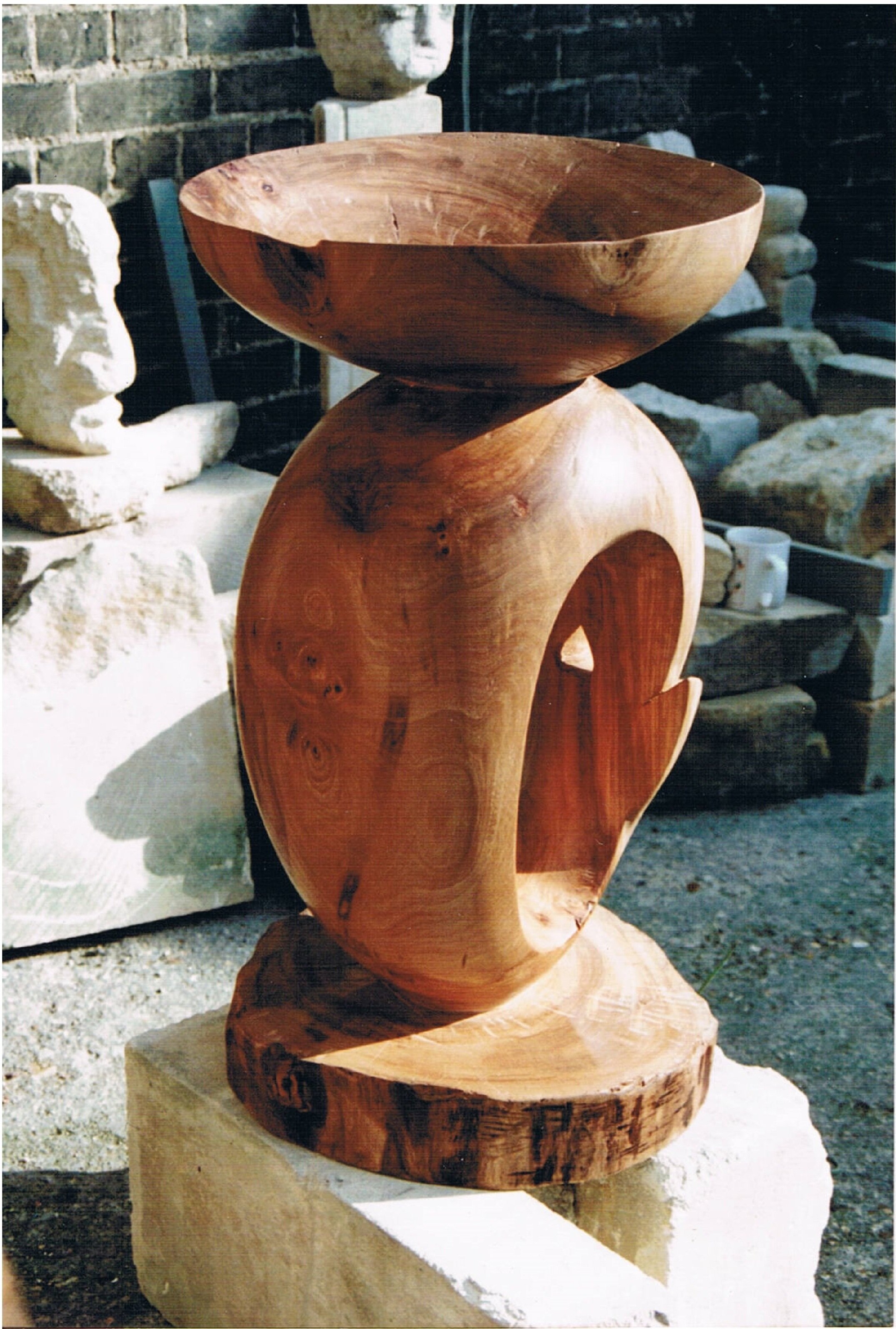 b+carved+elm+sculptural+bowl.jpg
