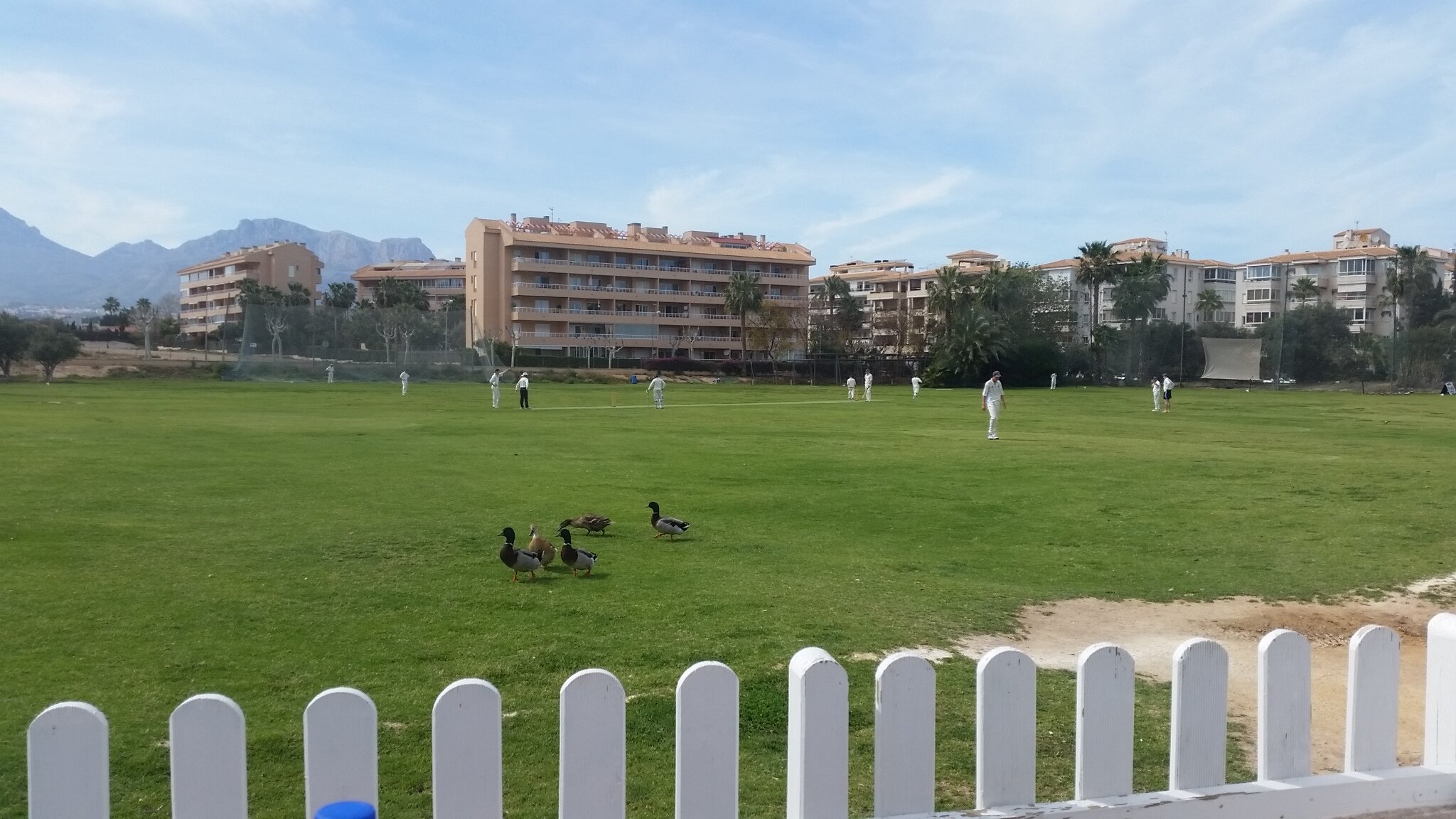 20160416_162212.jpg