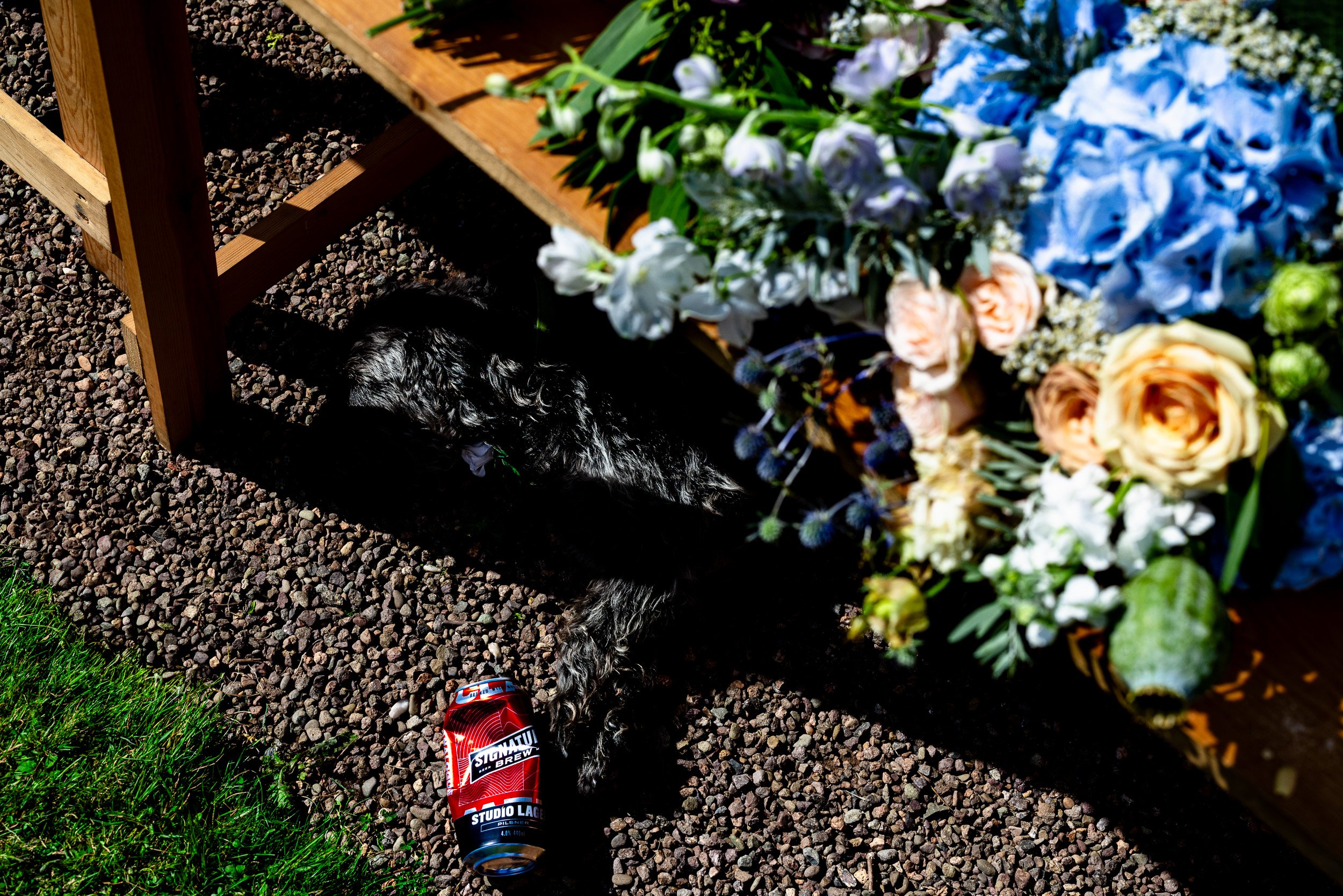 jip Preston Tower Wedding-47.jpg