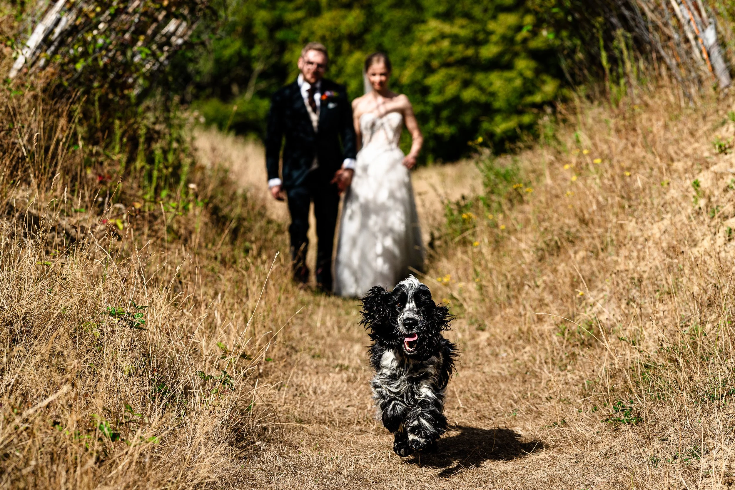 jip Swallows Oast Wedding-39.jpg