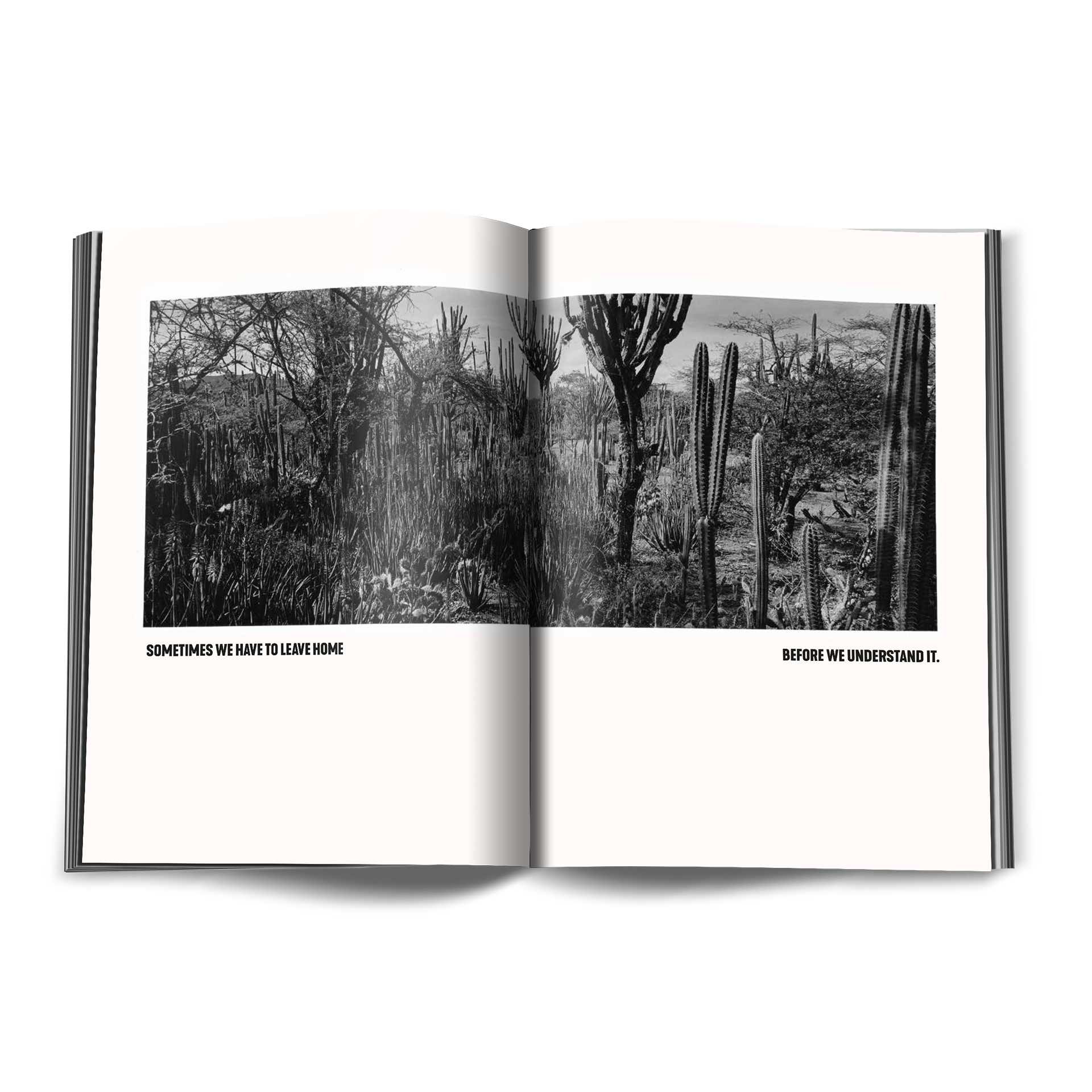 VOL10_Pages_13.png