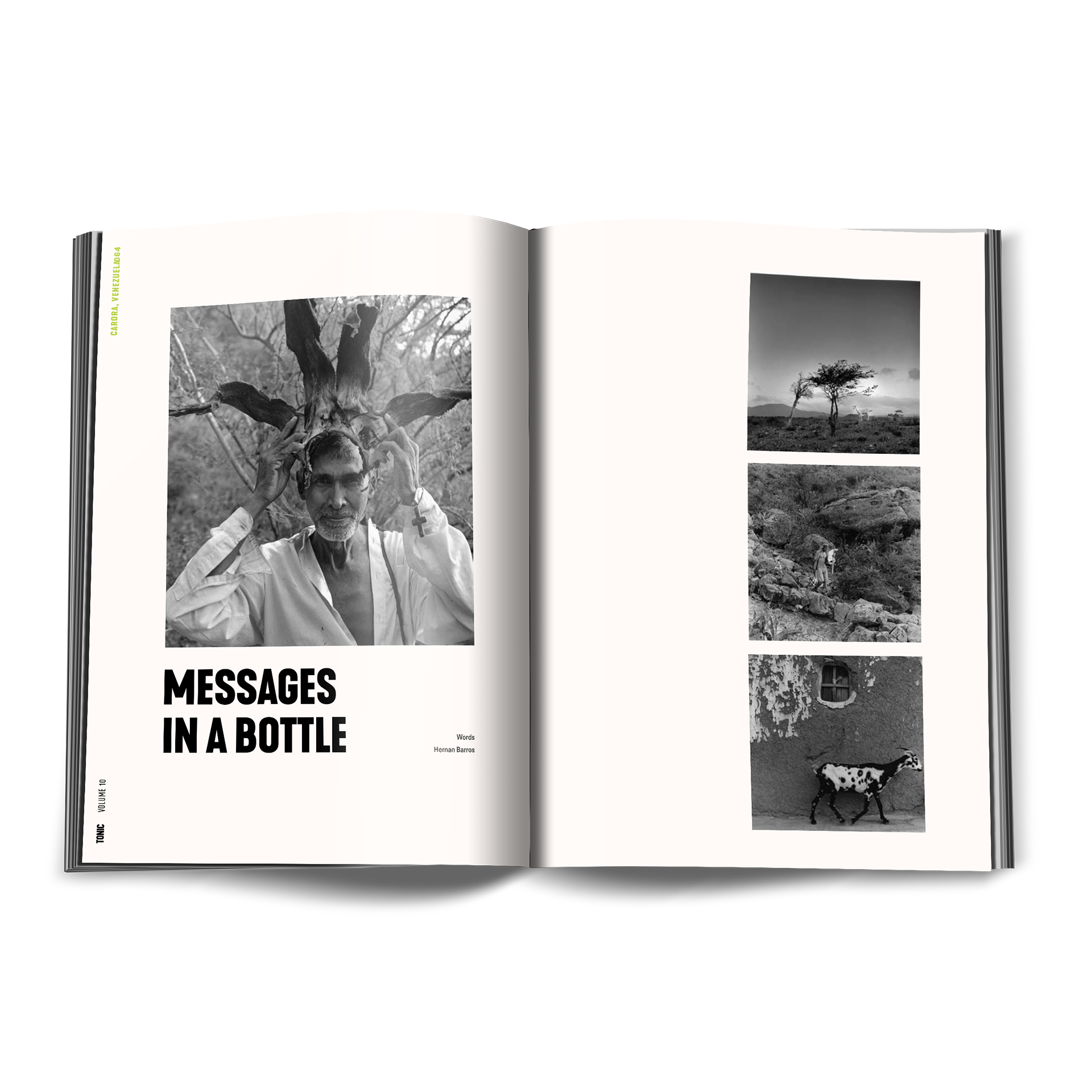 VOL10_Pages_12.png