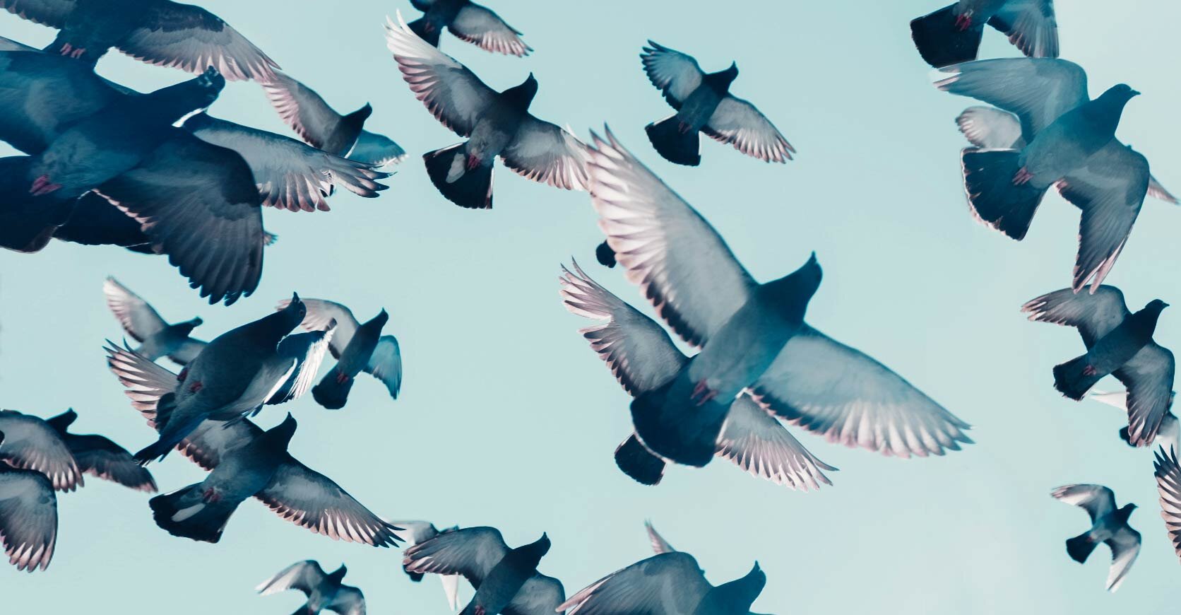 Cours de Yoga Collectif en ligne