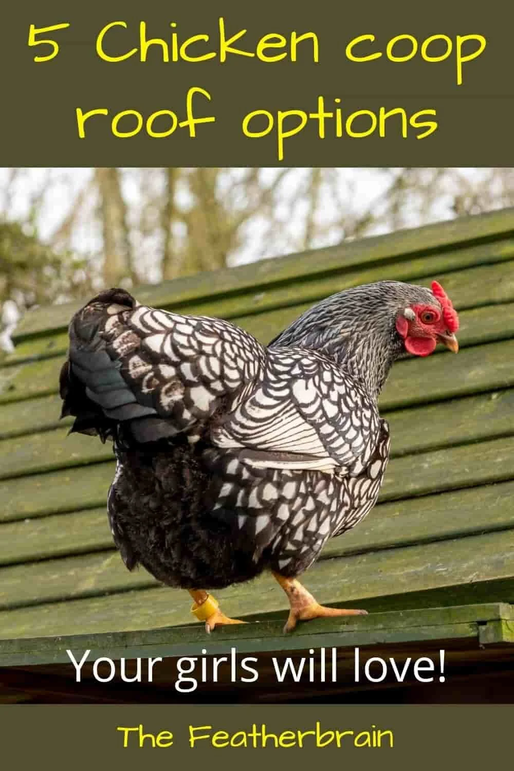 Chicken coop roof options What’s the best material? — The Featherbrain