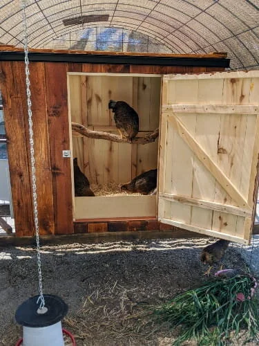 Chicken coop ventilation 101: Ventilation made easy! — The Featherbrain - Small Chicken Coop With Natural Ventilation
