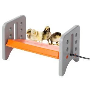 Brooder-heater-plate-for-supposedly-15-chicks.jpg