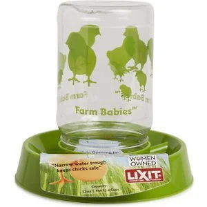 Chick-feeder-and-waterer.jpg
