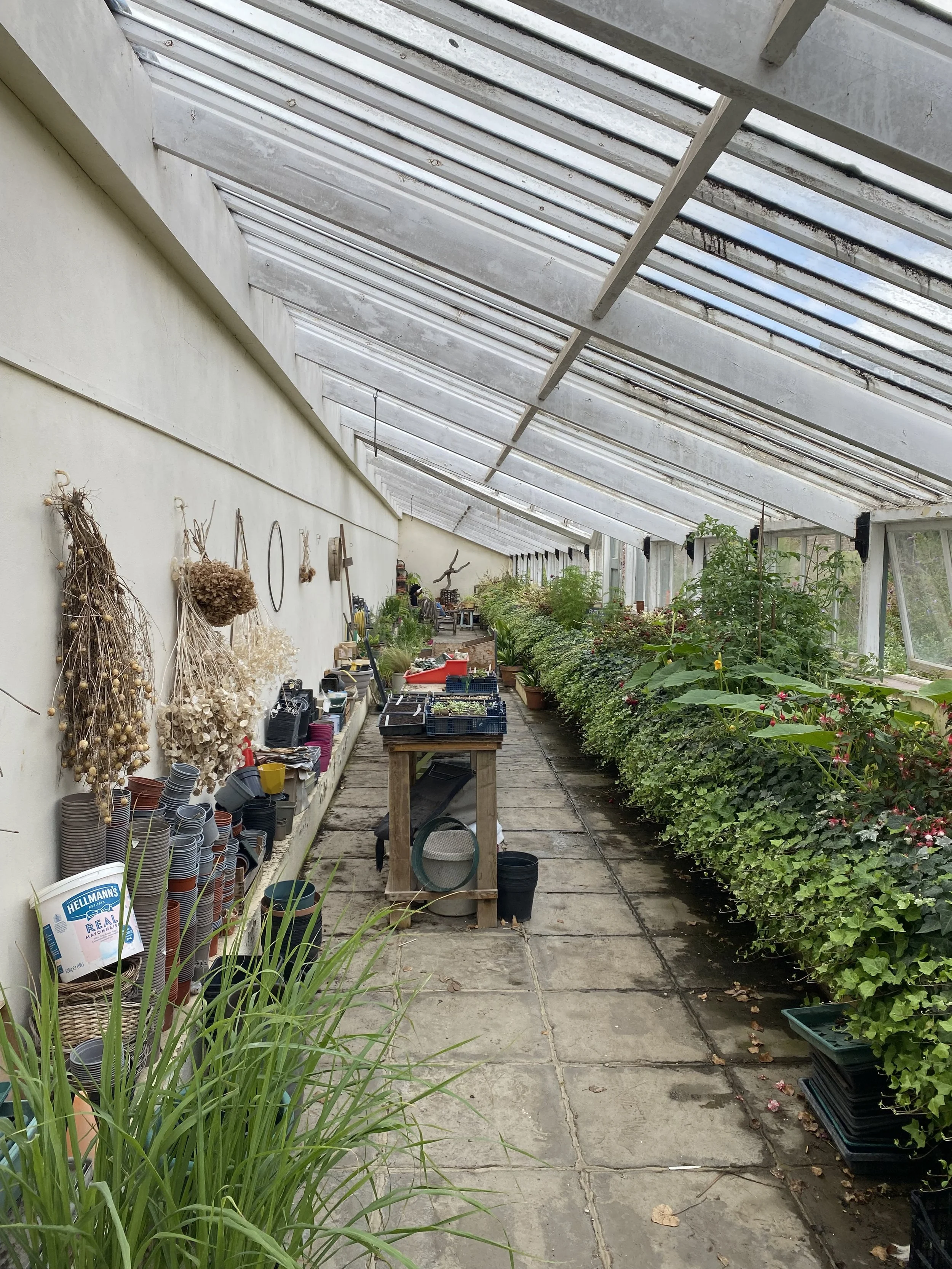 Greenhouse