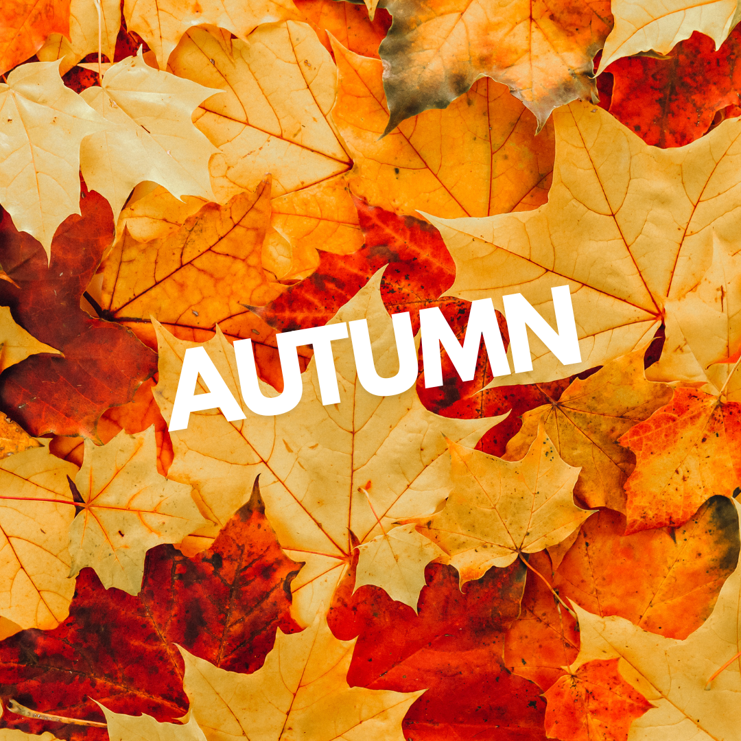 Autumn