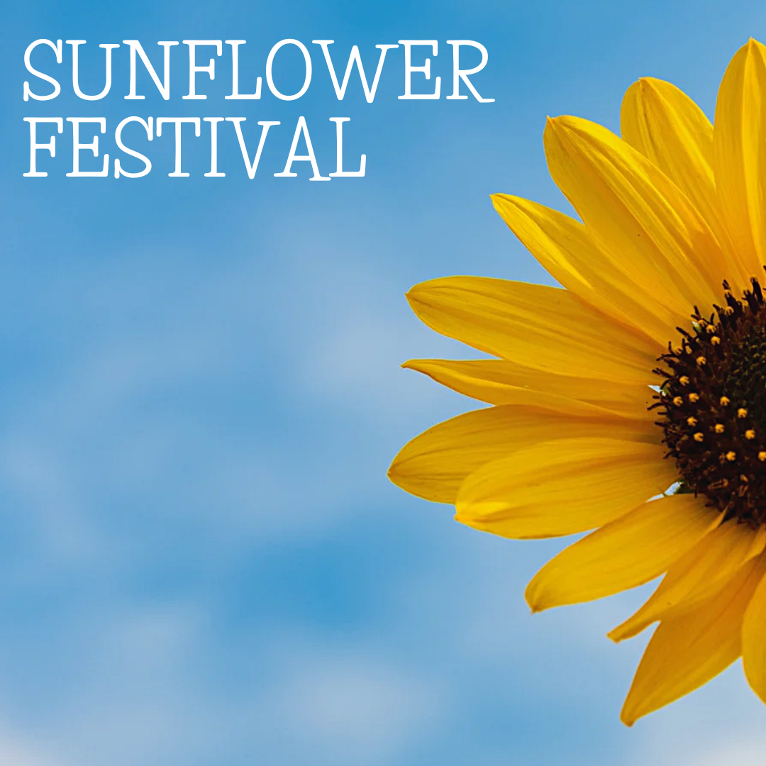 Sunflower Festival