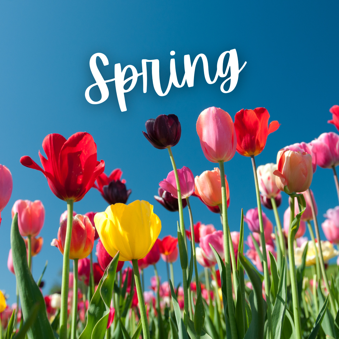 Click for Spring Resources