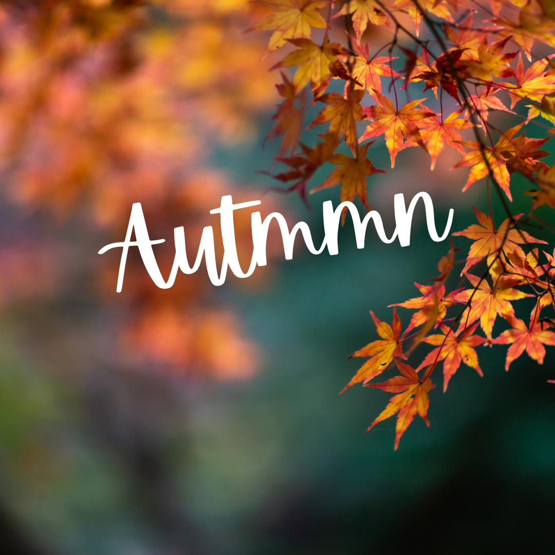 Click for Autumn Resources