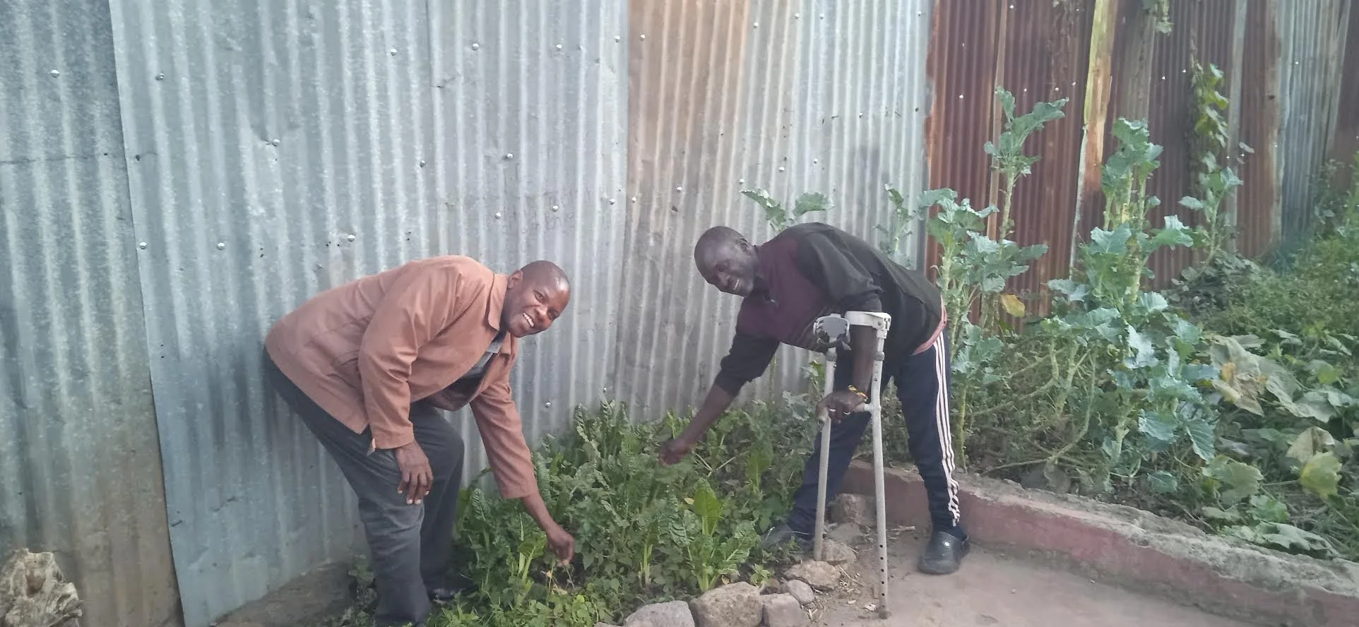Network Partner in Kenya