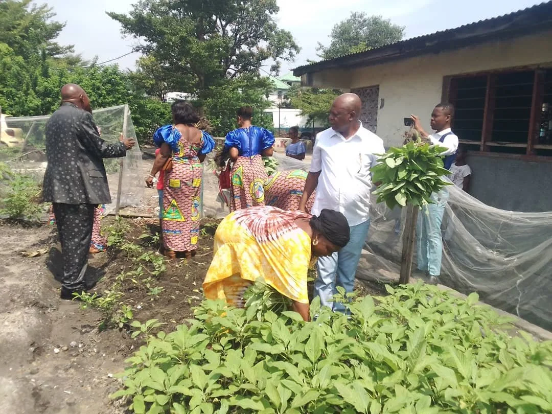 Network Partner in Congo