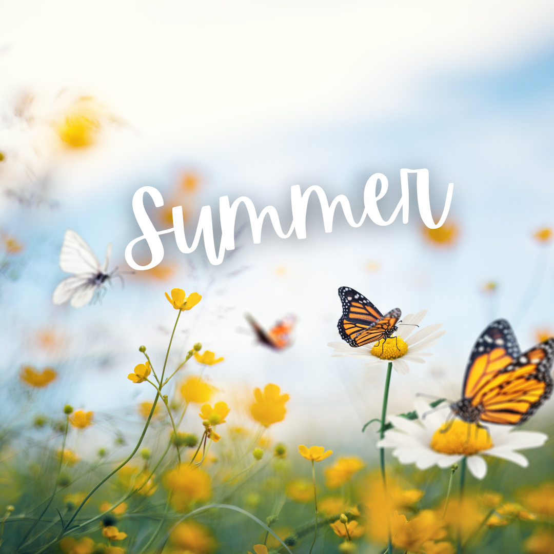 Click for Summer Resources