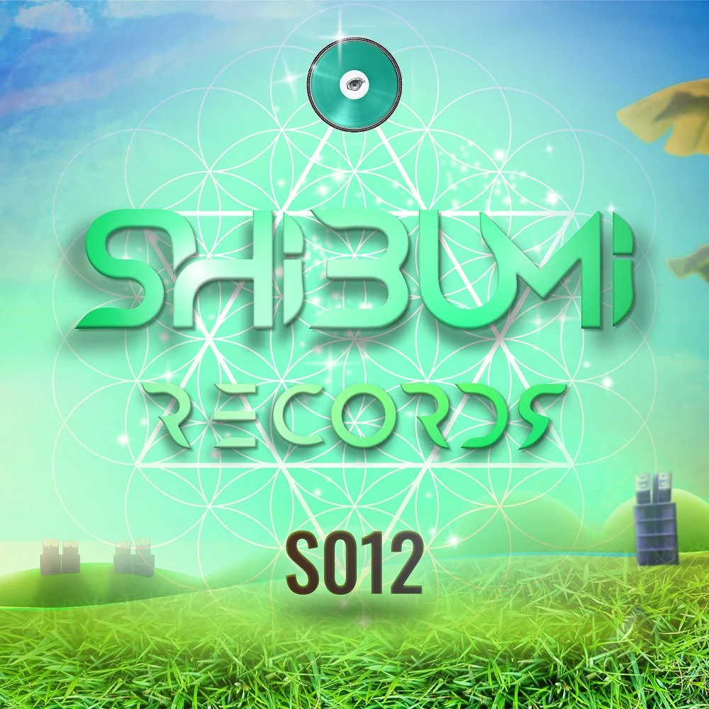 S012 | Vibe Raters