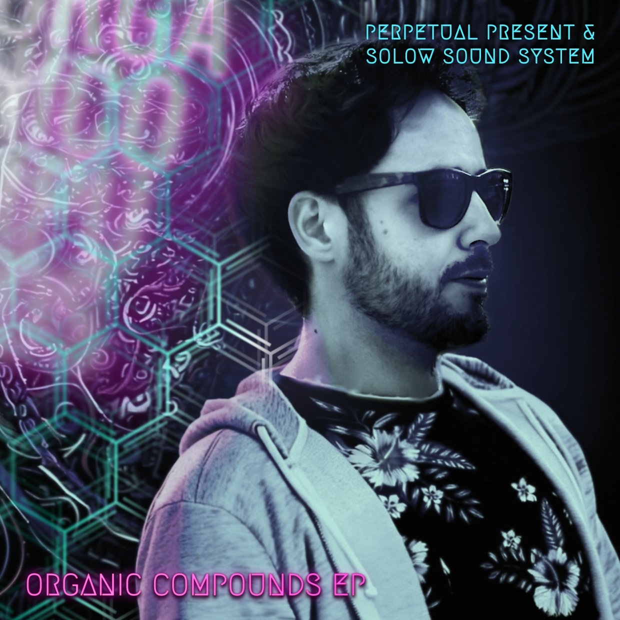 SR036: Organic Compounds EP