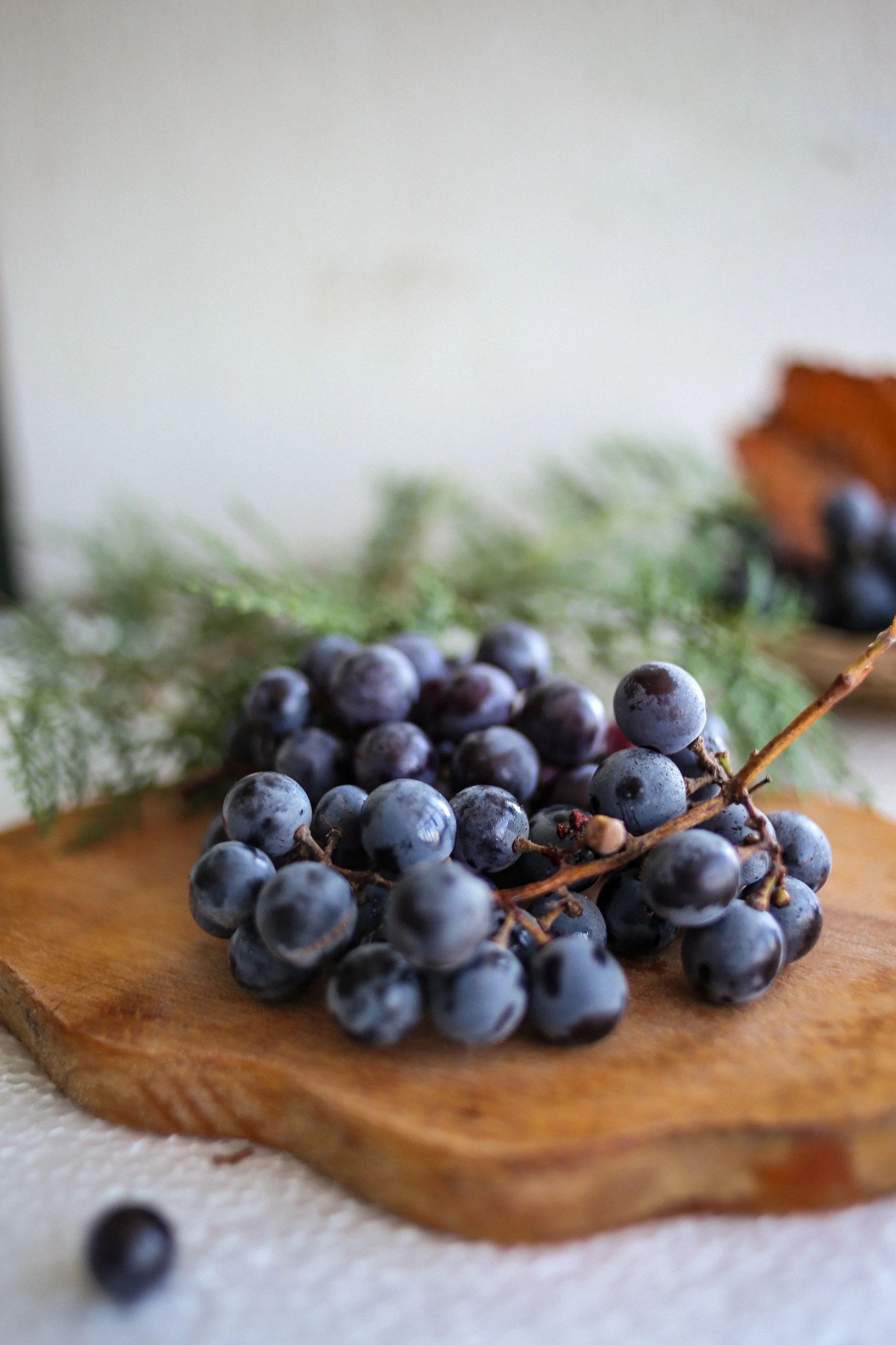 Grape seed extract 95. Proanthocyanidins. Might help with venous