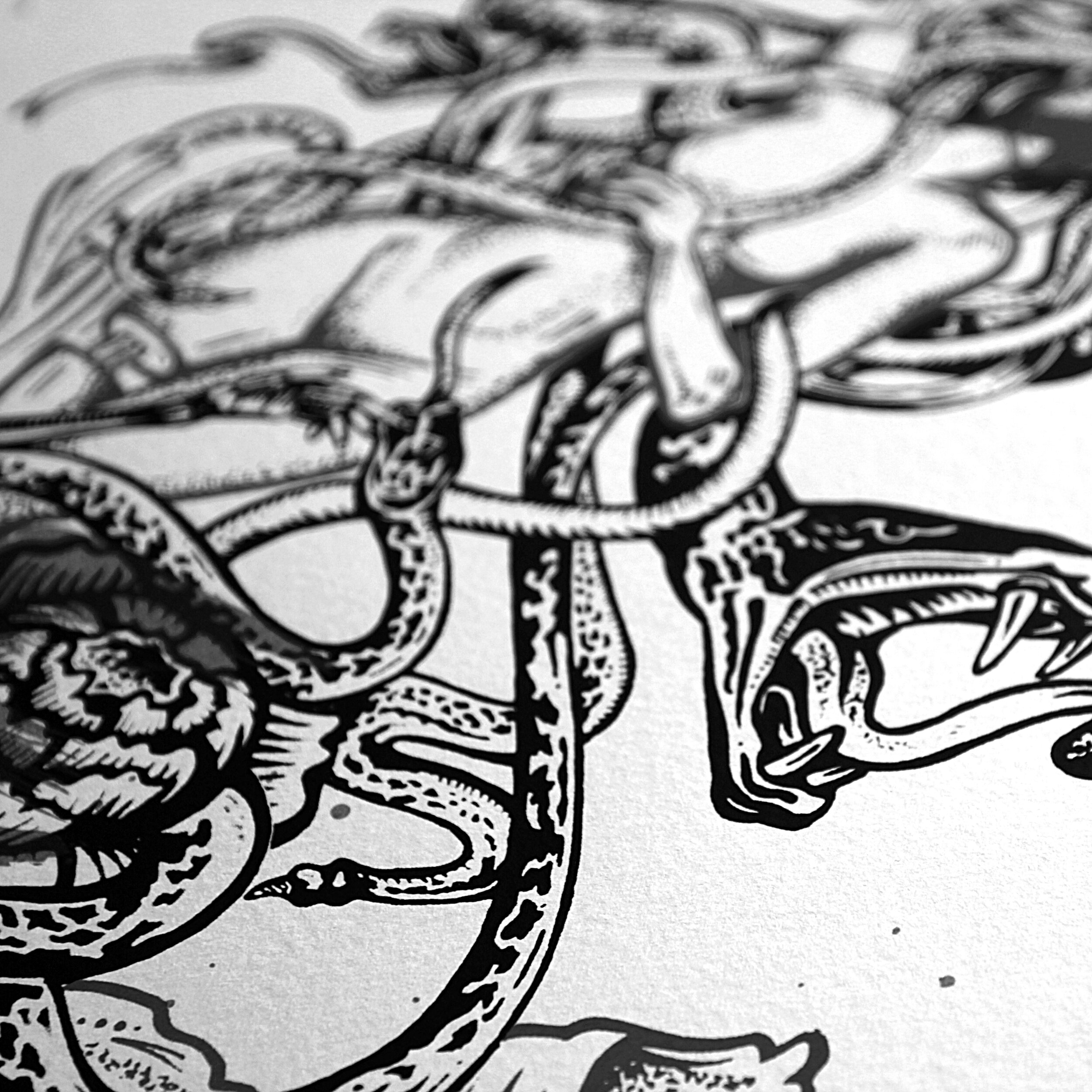 IMG_8659_bwCrop.jpg