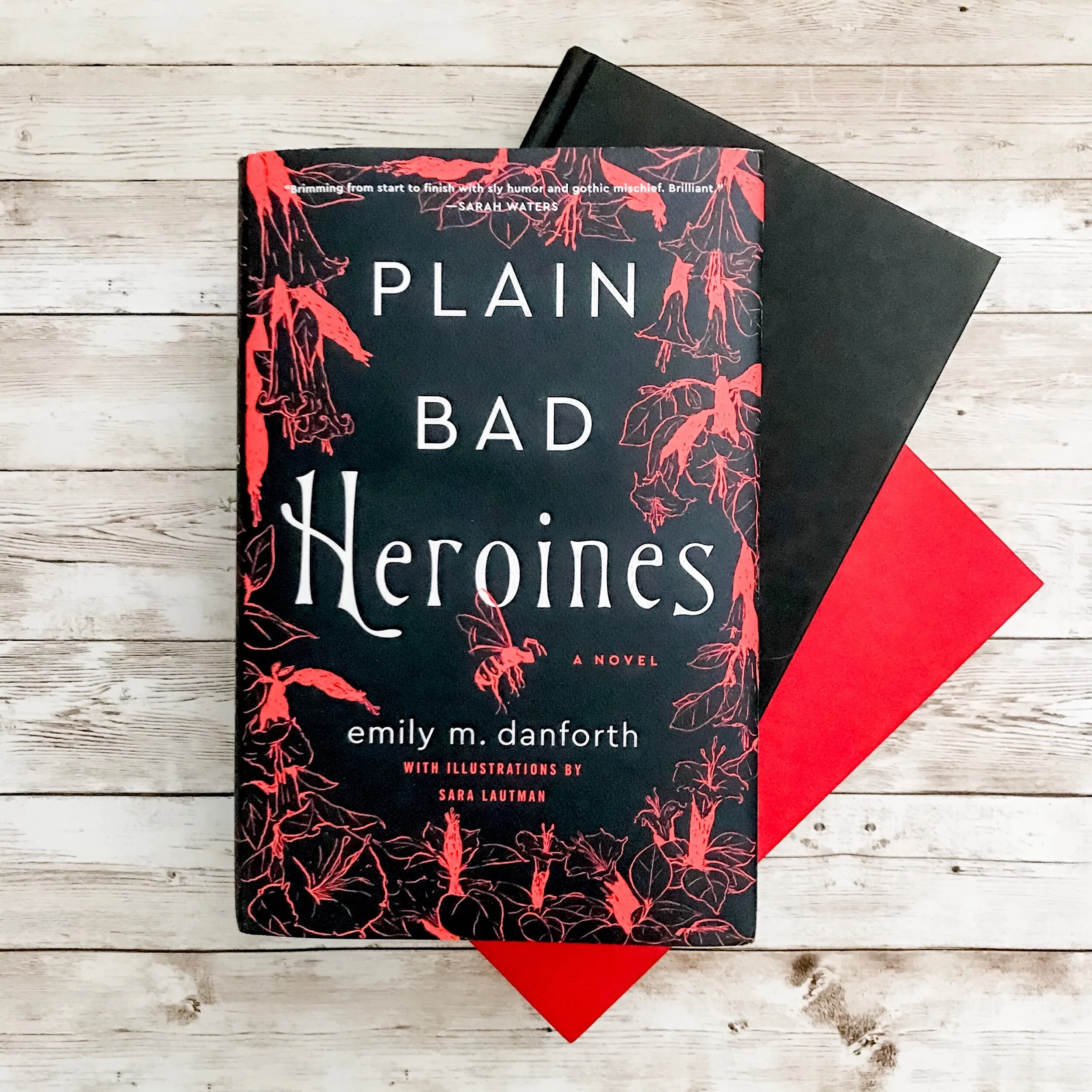 Plain Bad Heroines