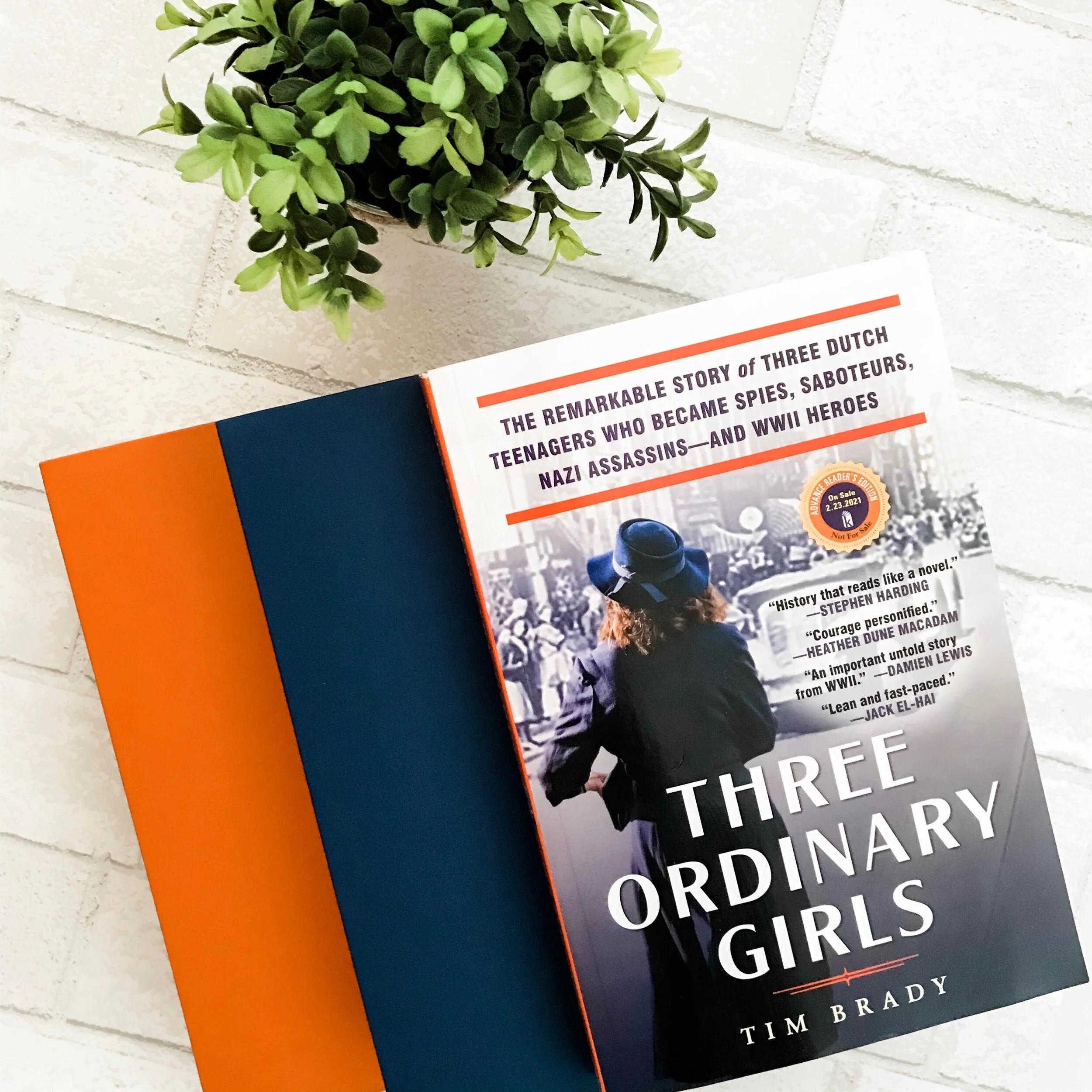 Three Ordinary Girls